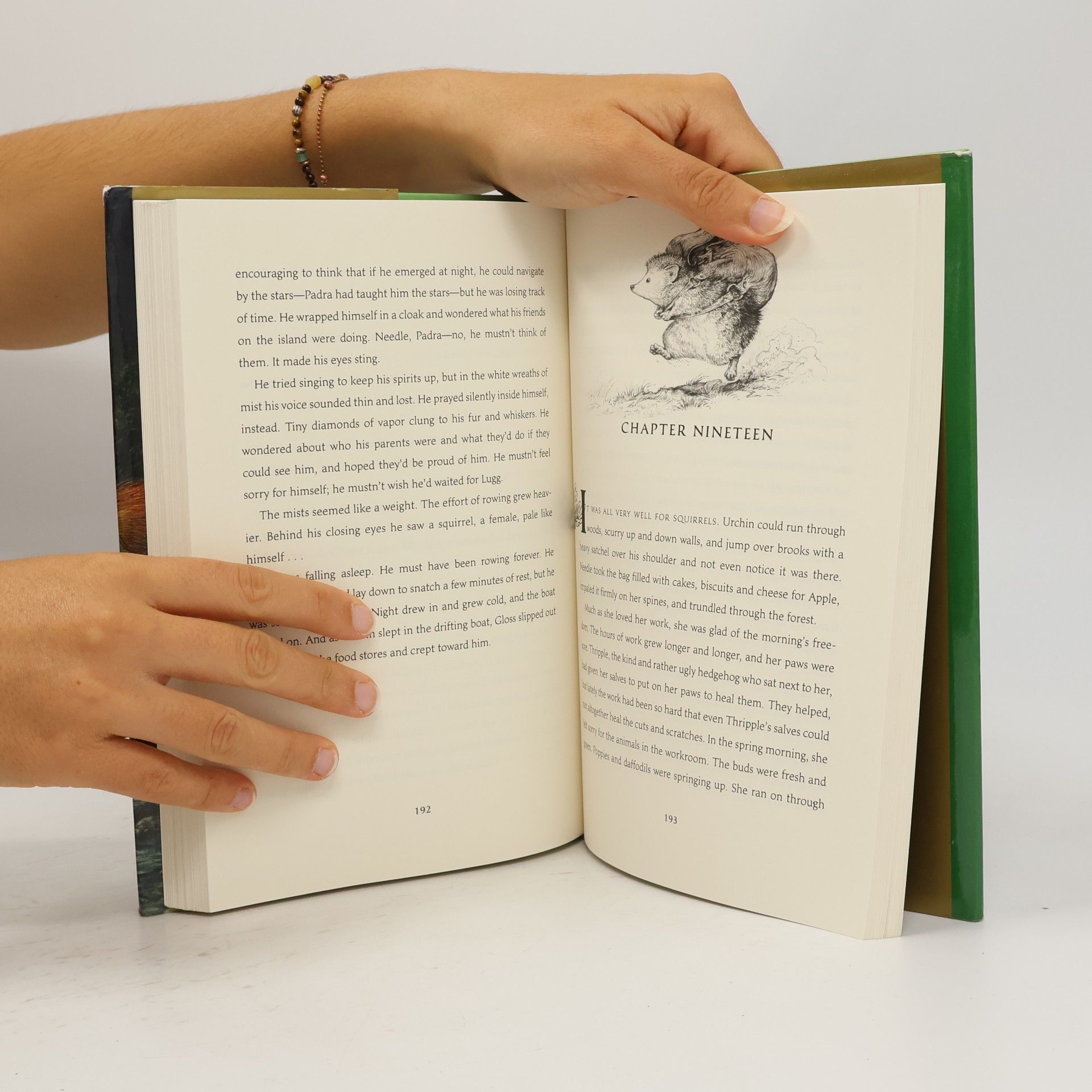Margaret McAllister The Mistmantle Chronicles