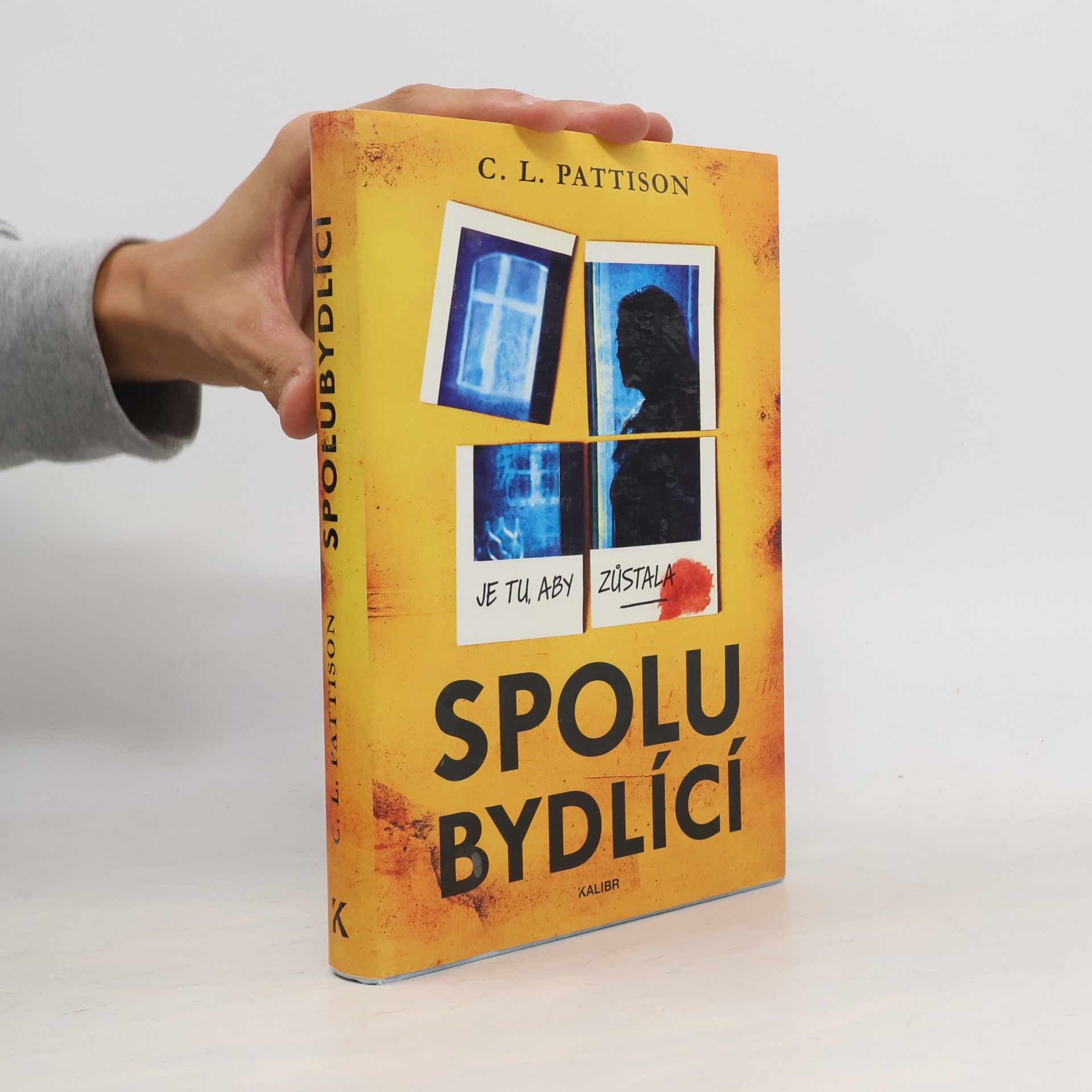Spolubydlící