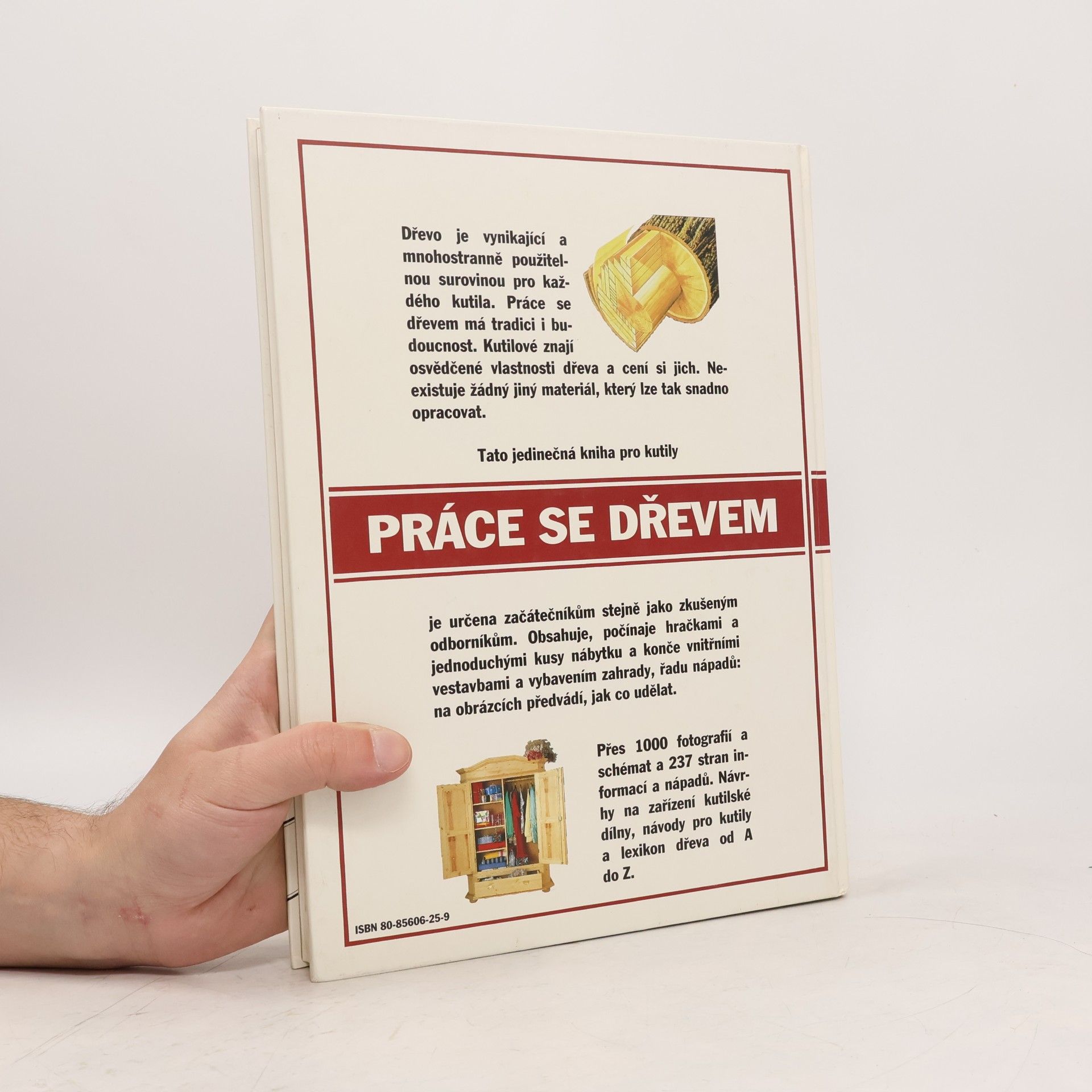 Marie Míčová Práce se dřevem