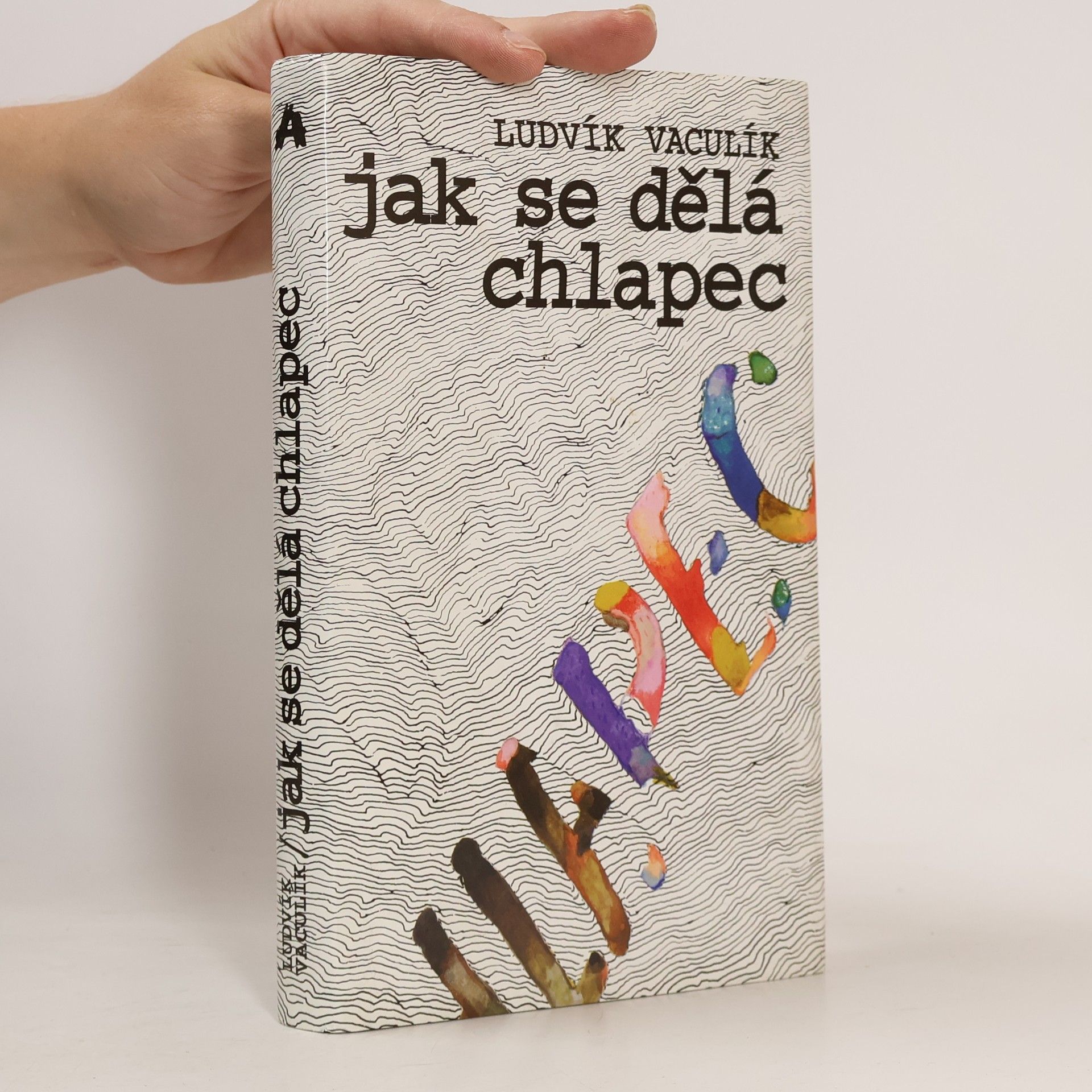 Ludvík Vaculík Jak se dělá chlapec