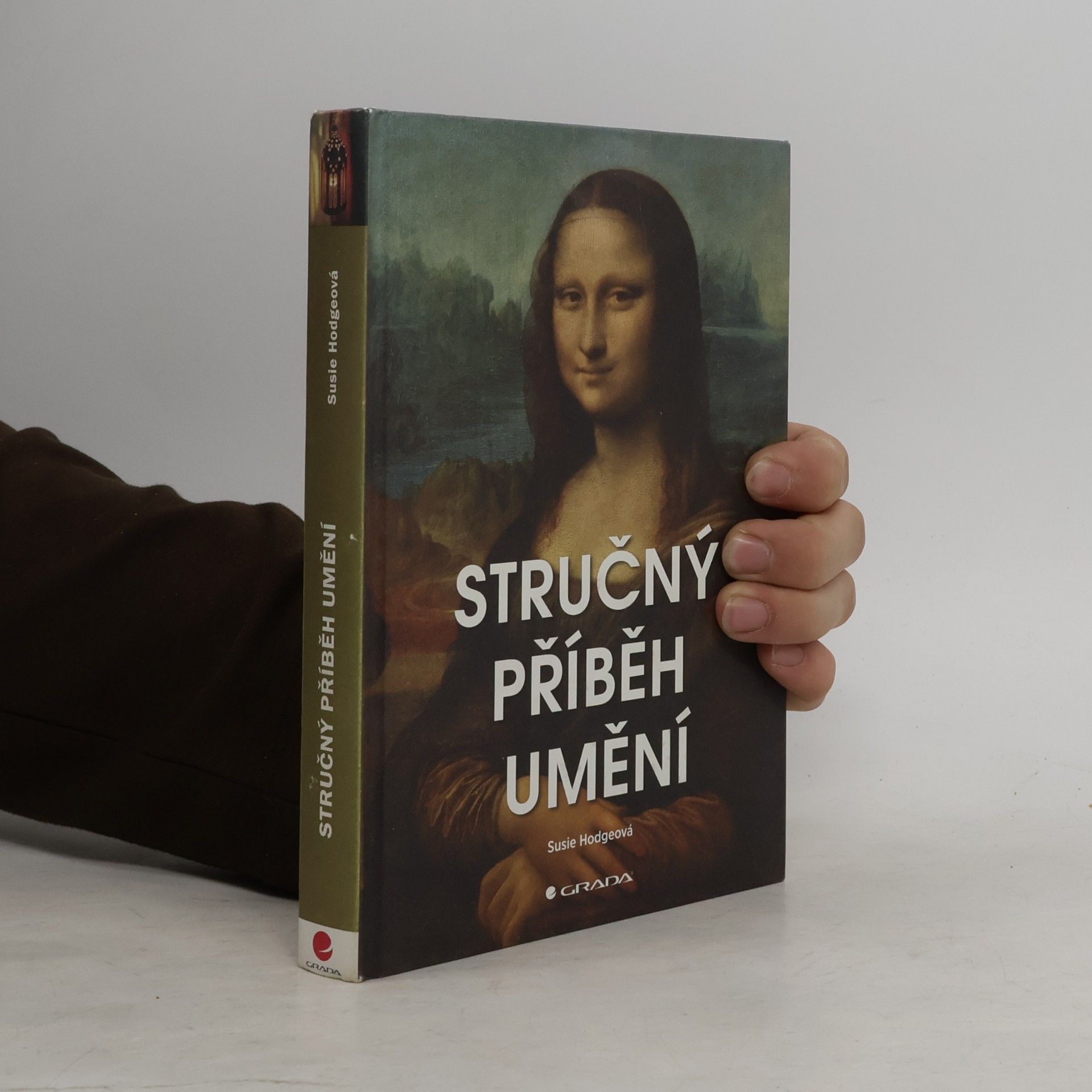Susie Hodge Stručný příběh umění