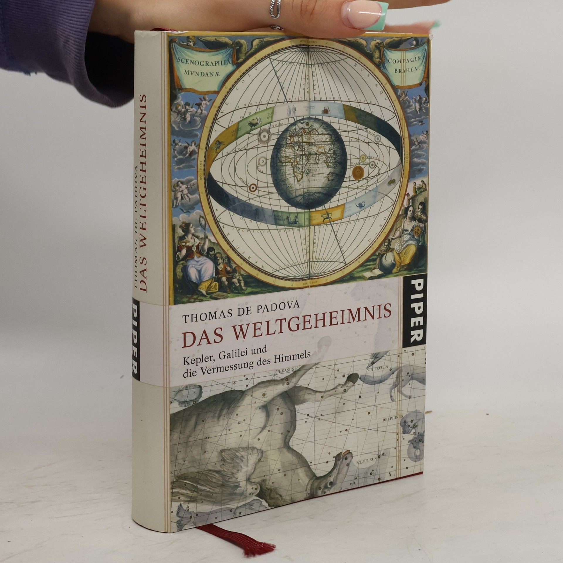 Thomas de Padova Das Weltgeheimnis