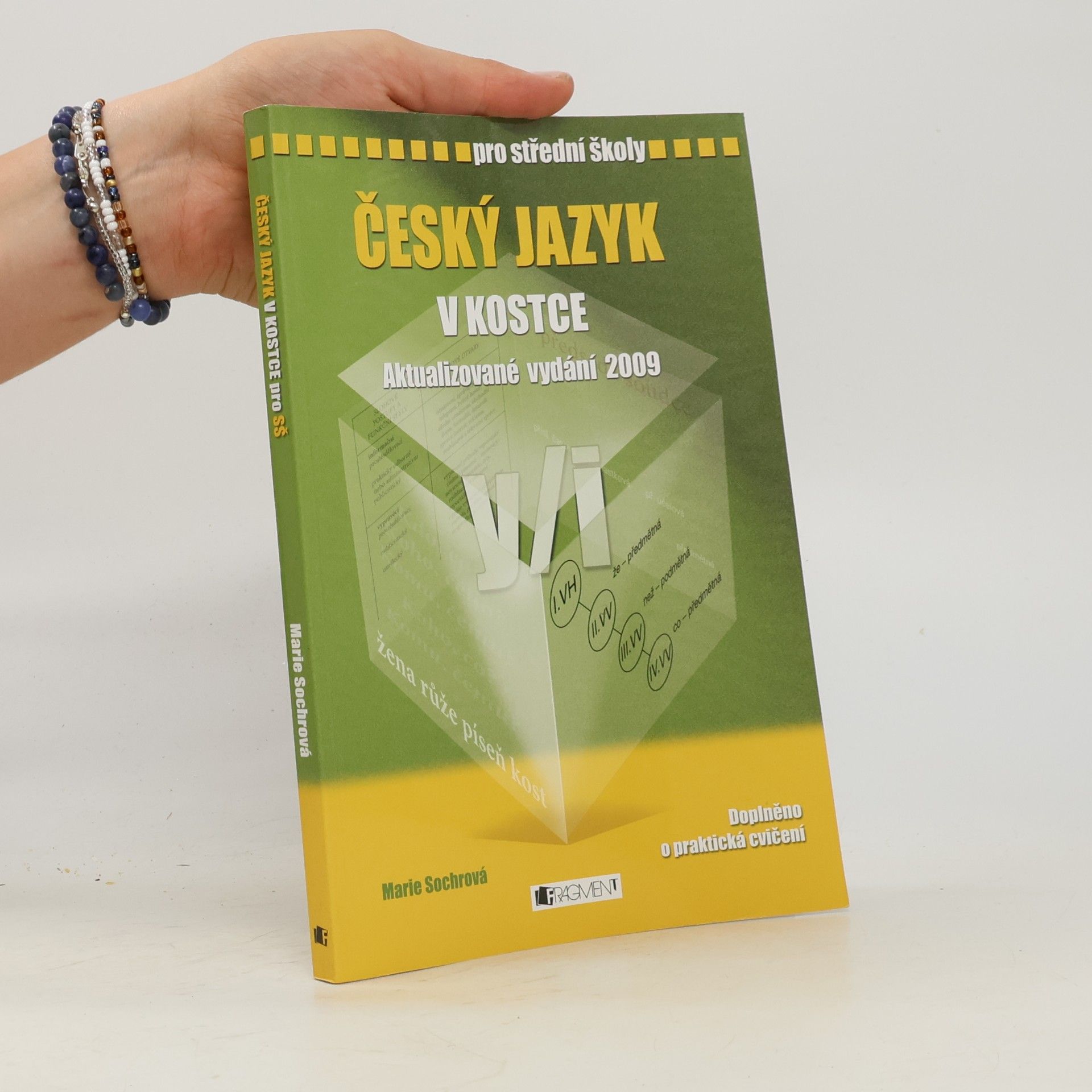Marie Sochrová Český jazyk v kostce : pro střední školy