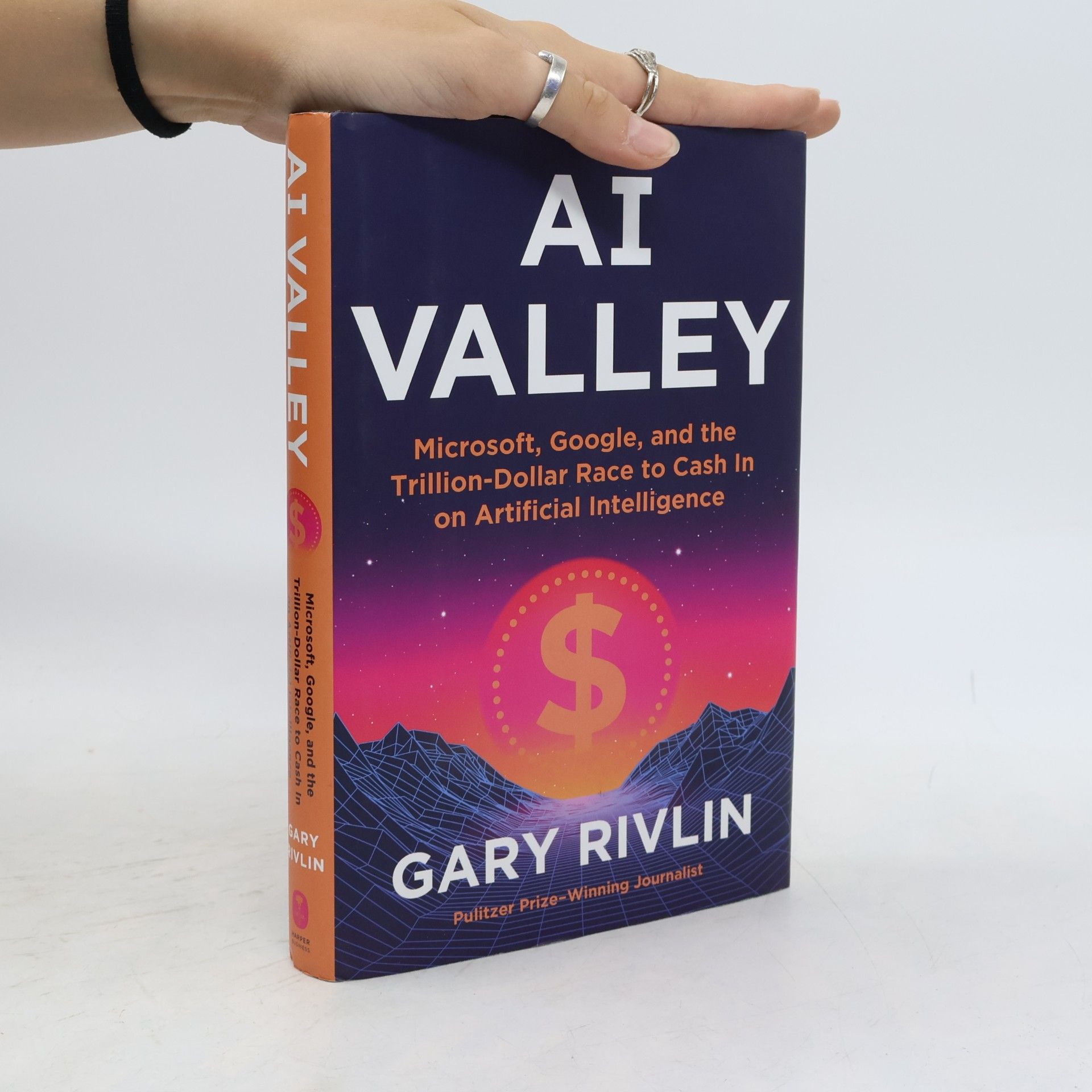 Gary Rivlin AI Valley
