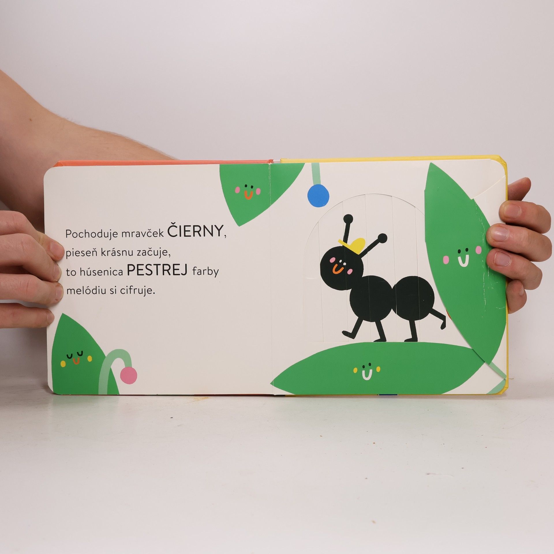 Autores varios Bláznivo čarovné okienka Farby