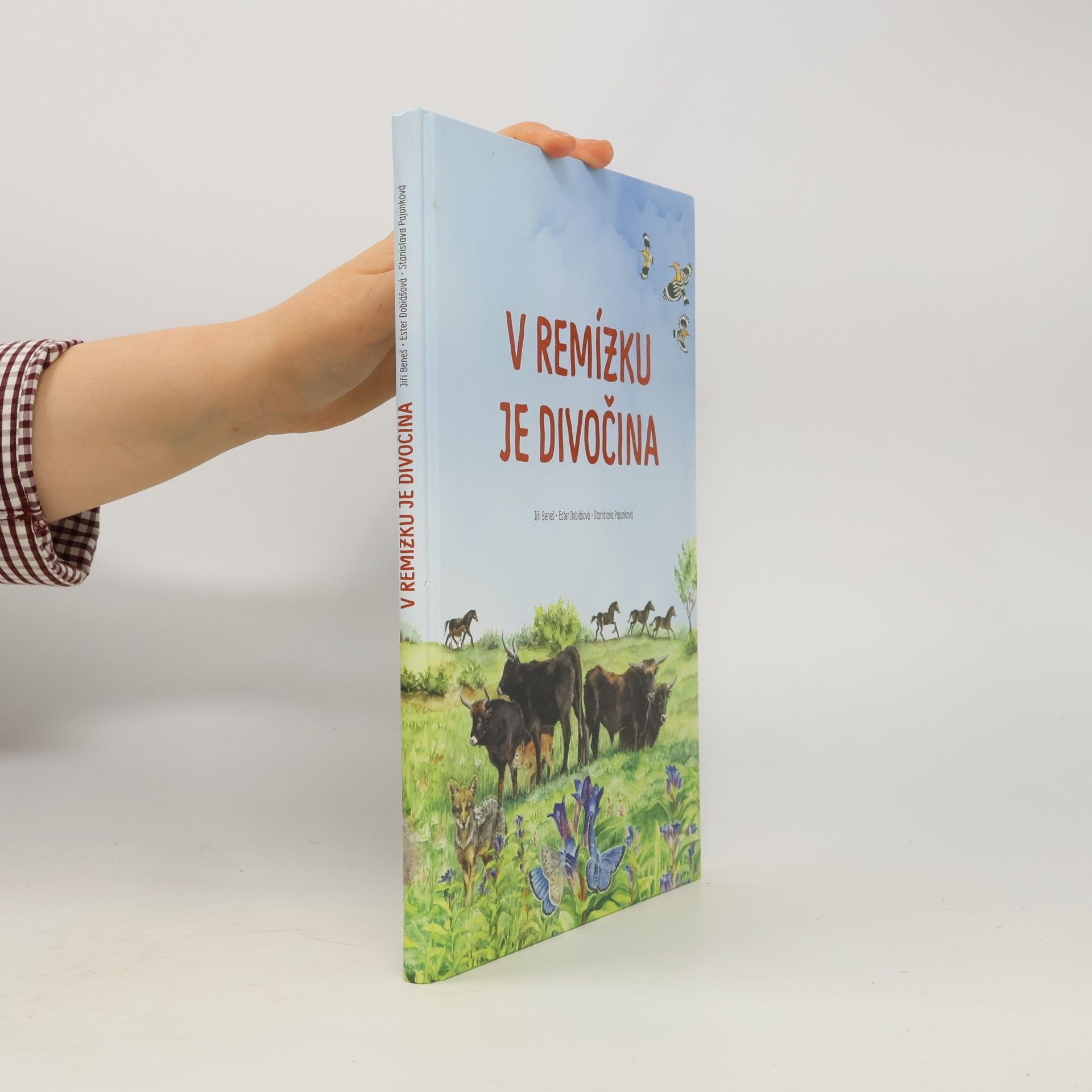 Stanislava Pajonková V remízku je divočina