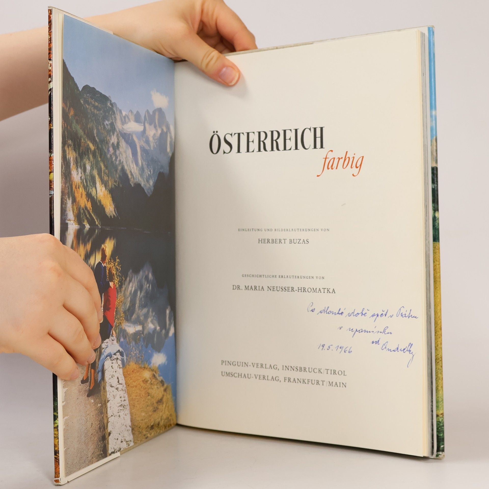 kolektiv Österreich farbig