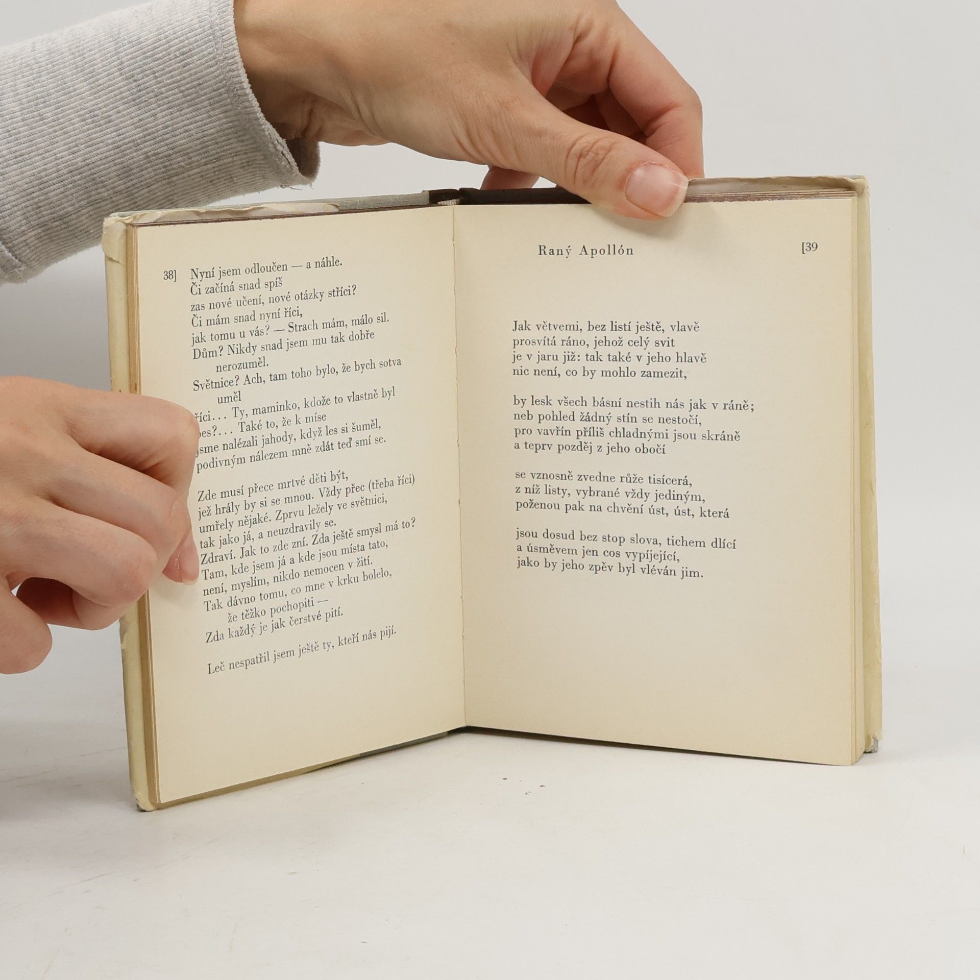Rainer Maria Rilke Obrazy a elegie