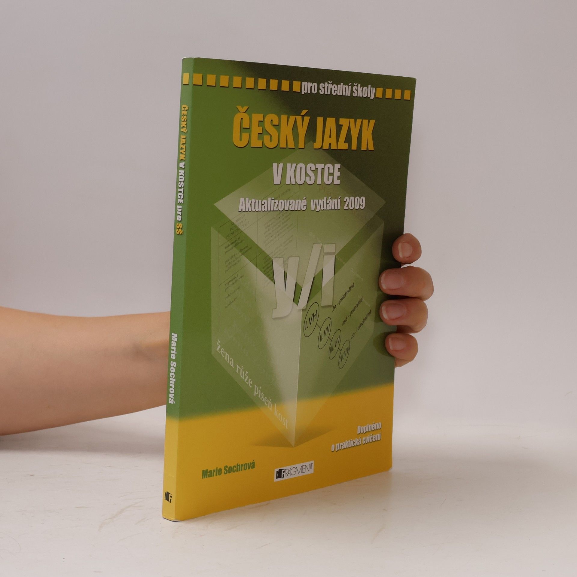 Marie Sochrová Český jazyk v kostce : pro střední školy