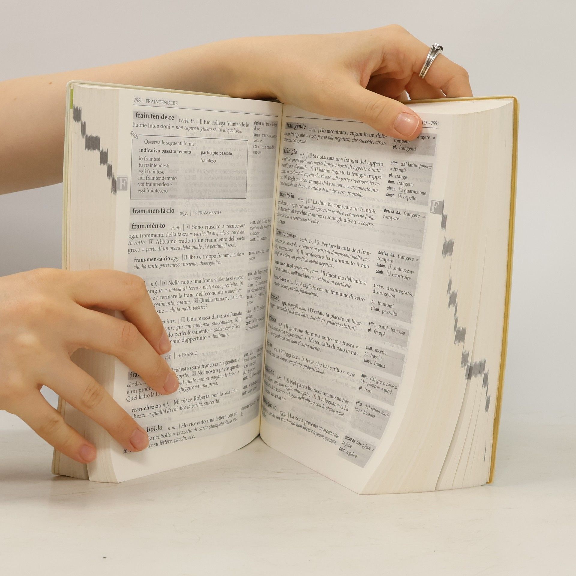 Valeria Bertero Dizionario illustrato della lingua italiana