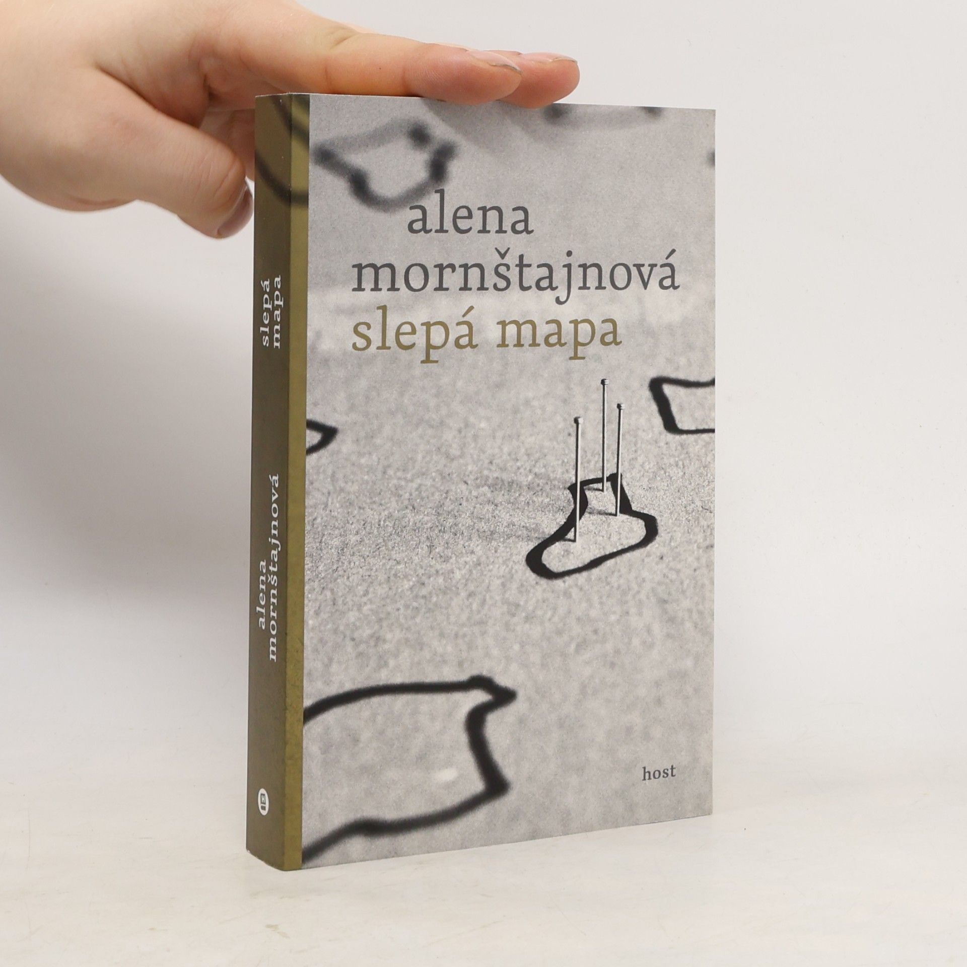 Alena Mornštajnová Slepá mapa