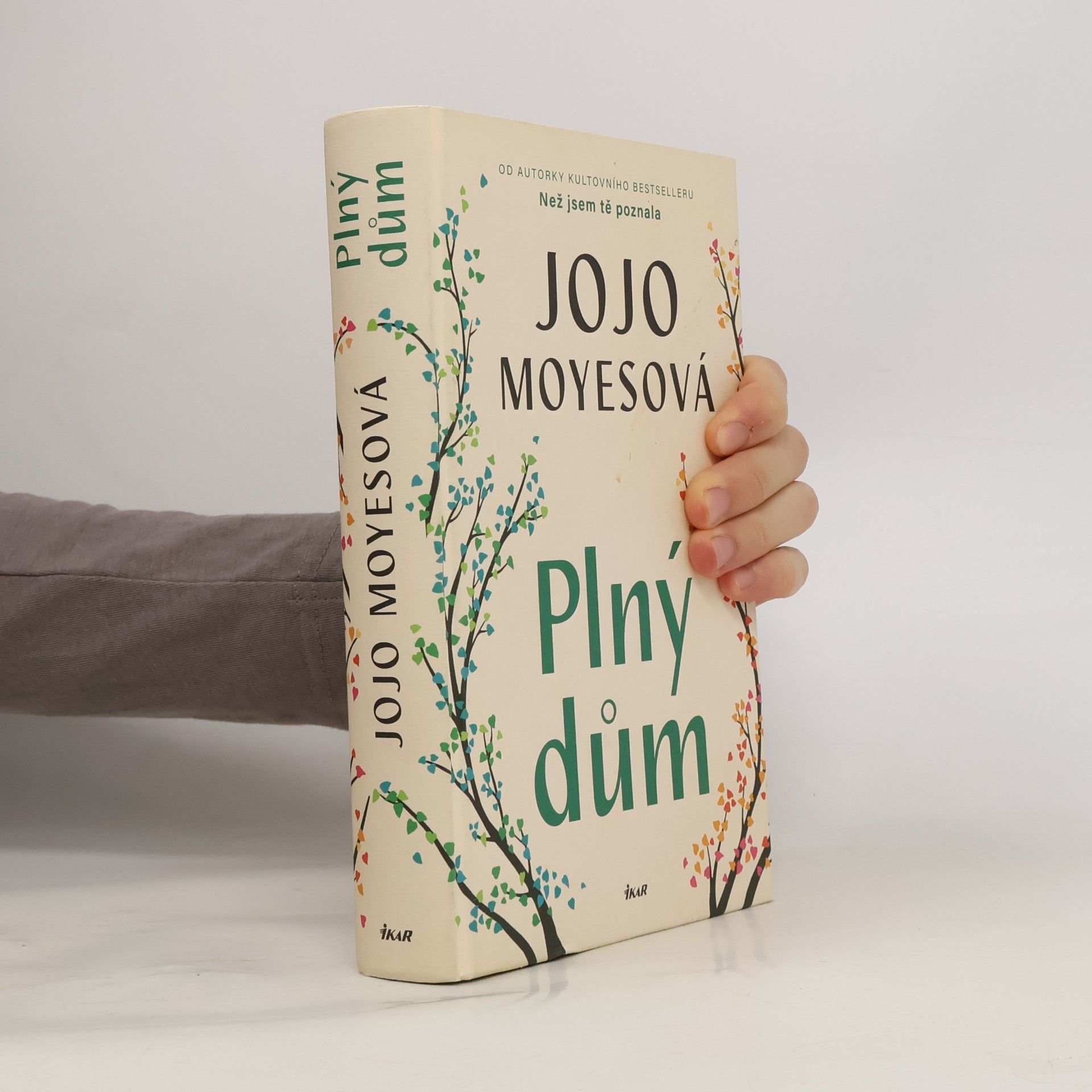 Plný dům