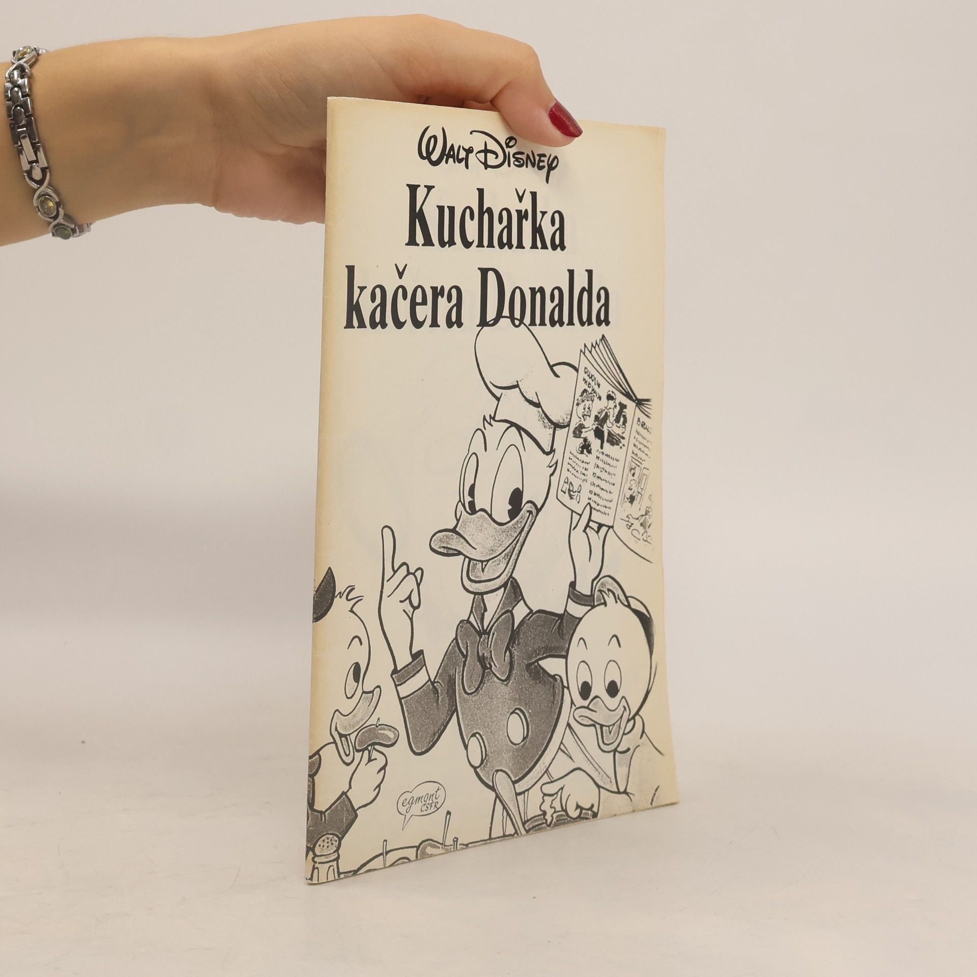 kolektiv Kuchařka Kačera Donalda