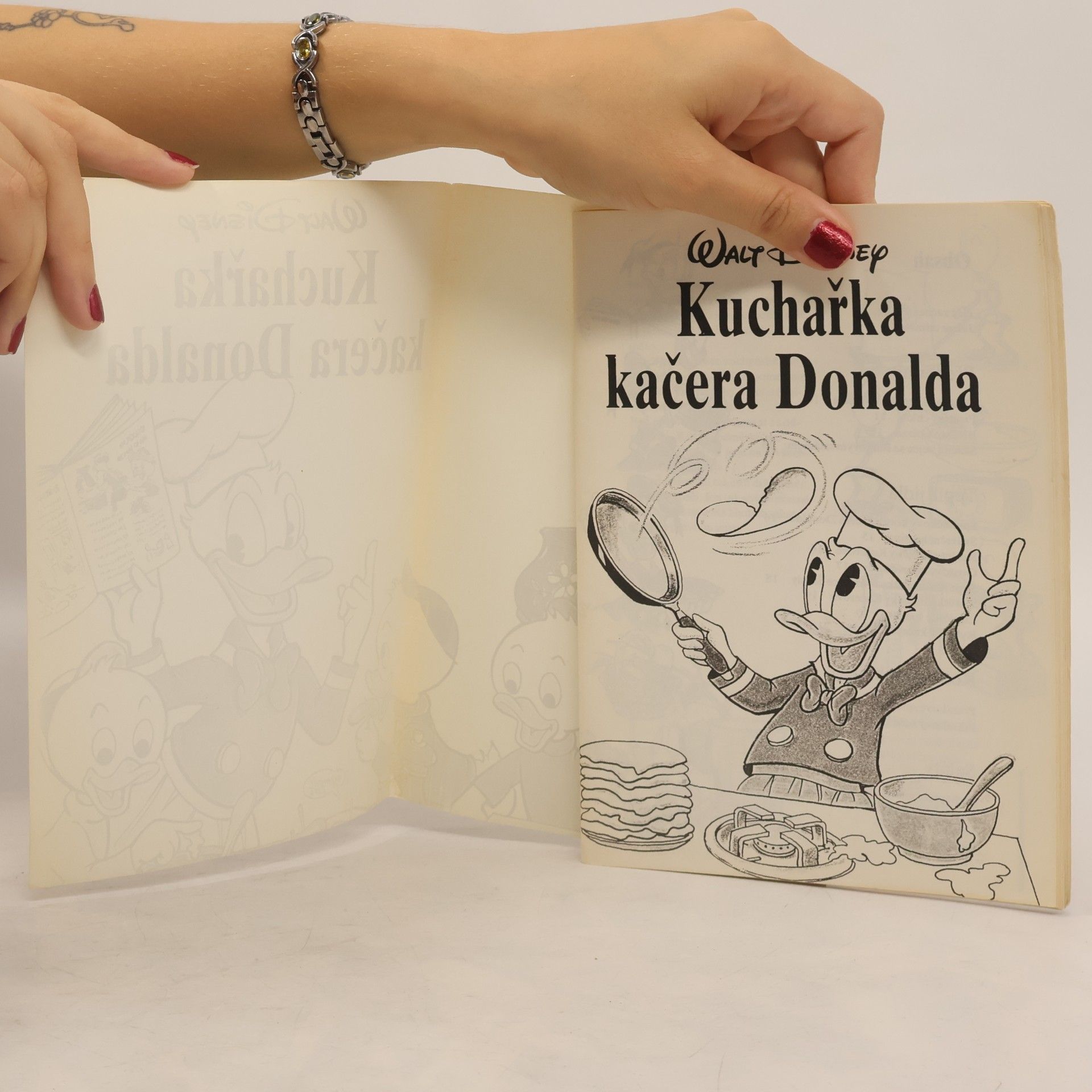 kolektiv Kuchařka Kačera Donalda
