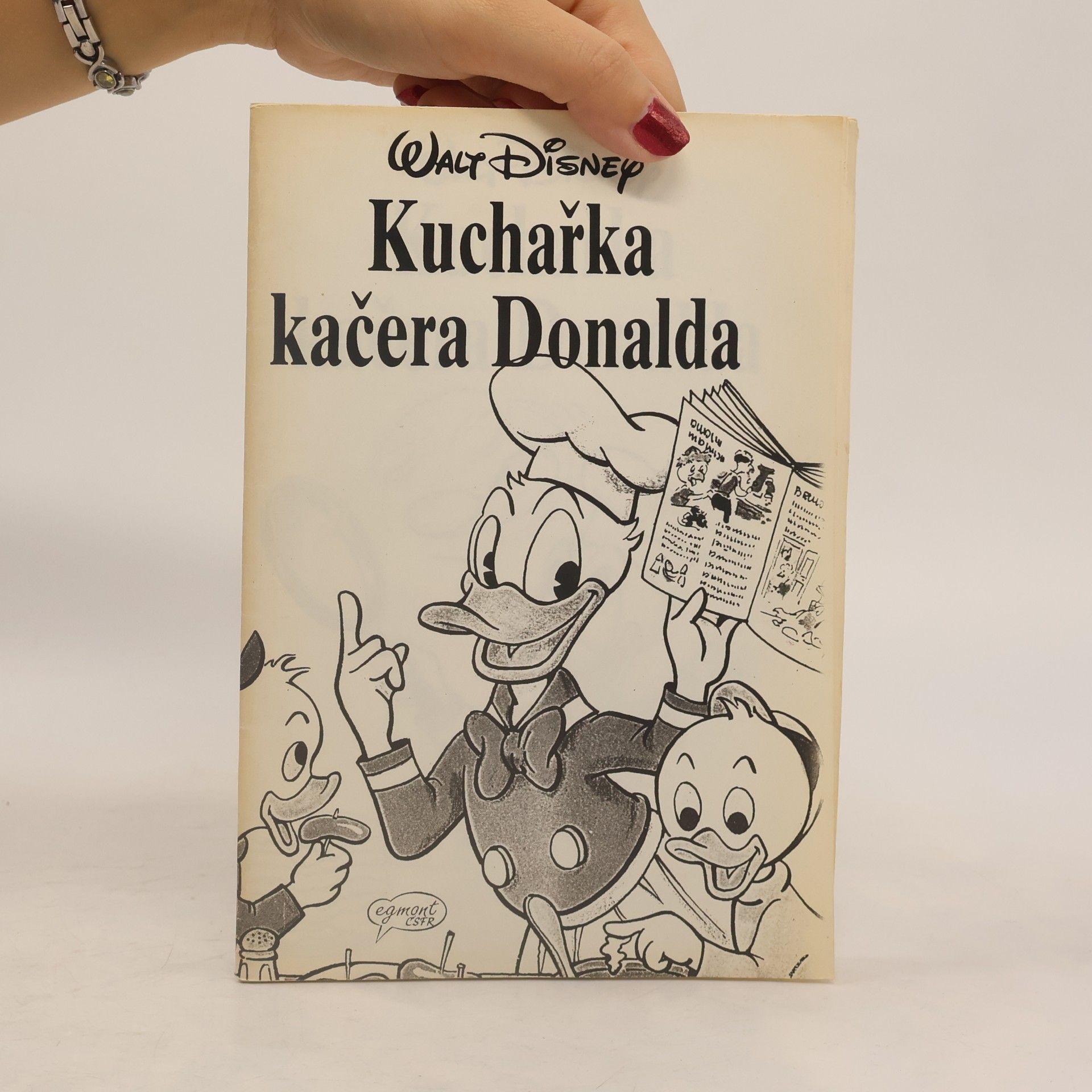 kolektiv Kuchařka Kačera Donalda