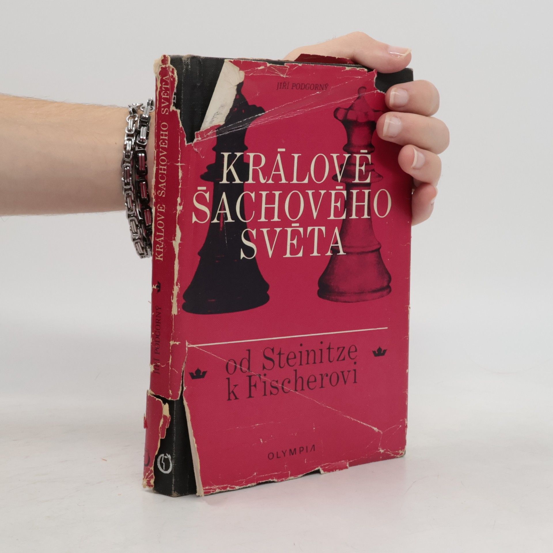 Jiří Podgorný Králové šachového světa