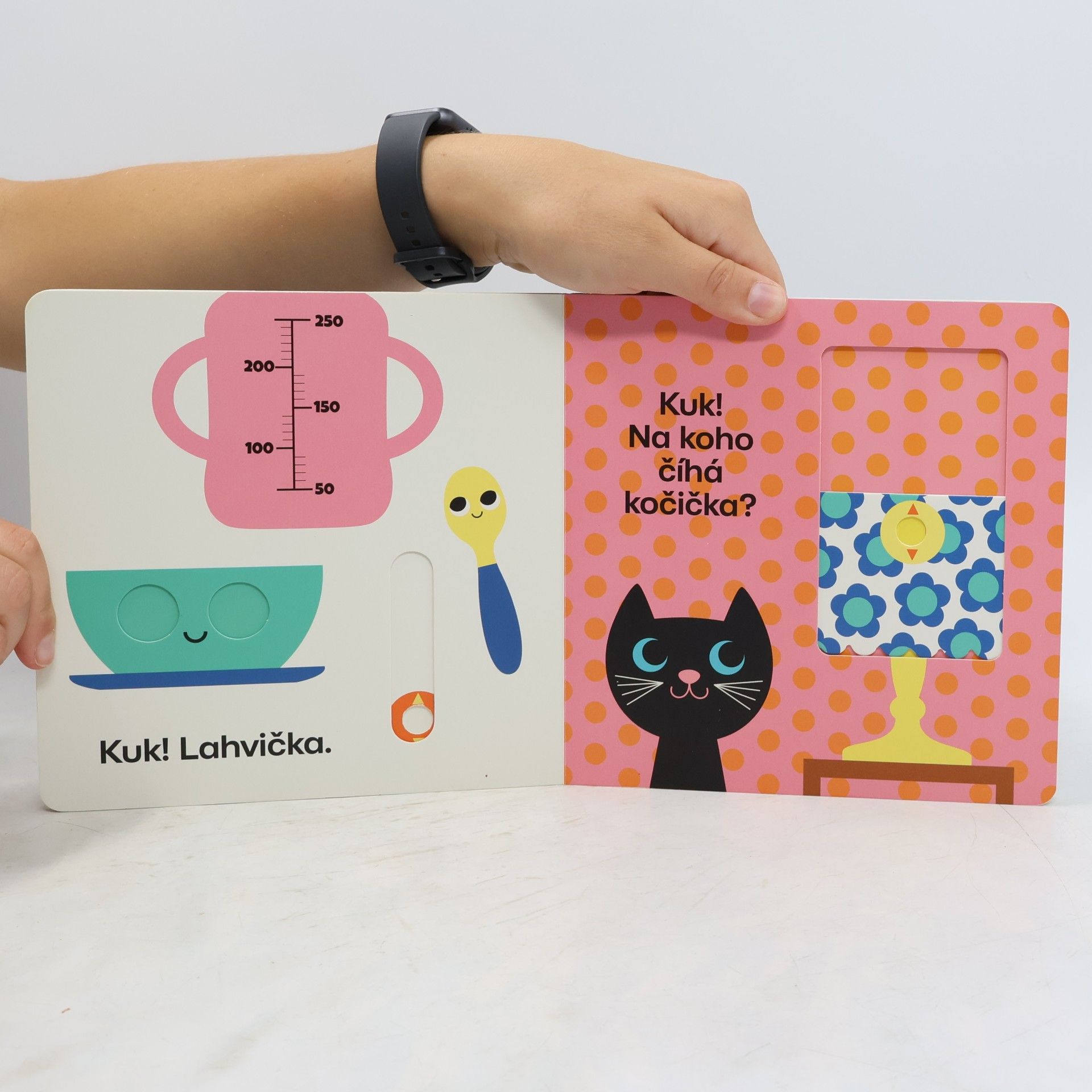 Camilla Reid Kuk! Kdo se schoval? Hledej mě, než zavřeš očka