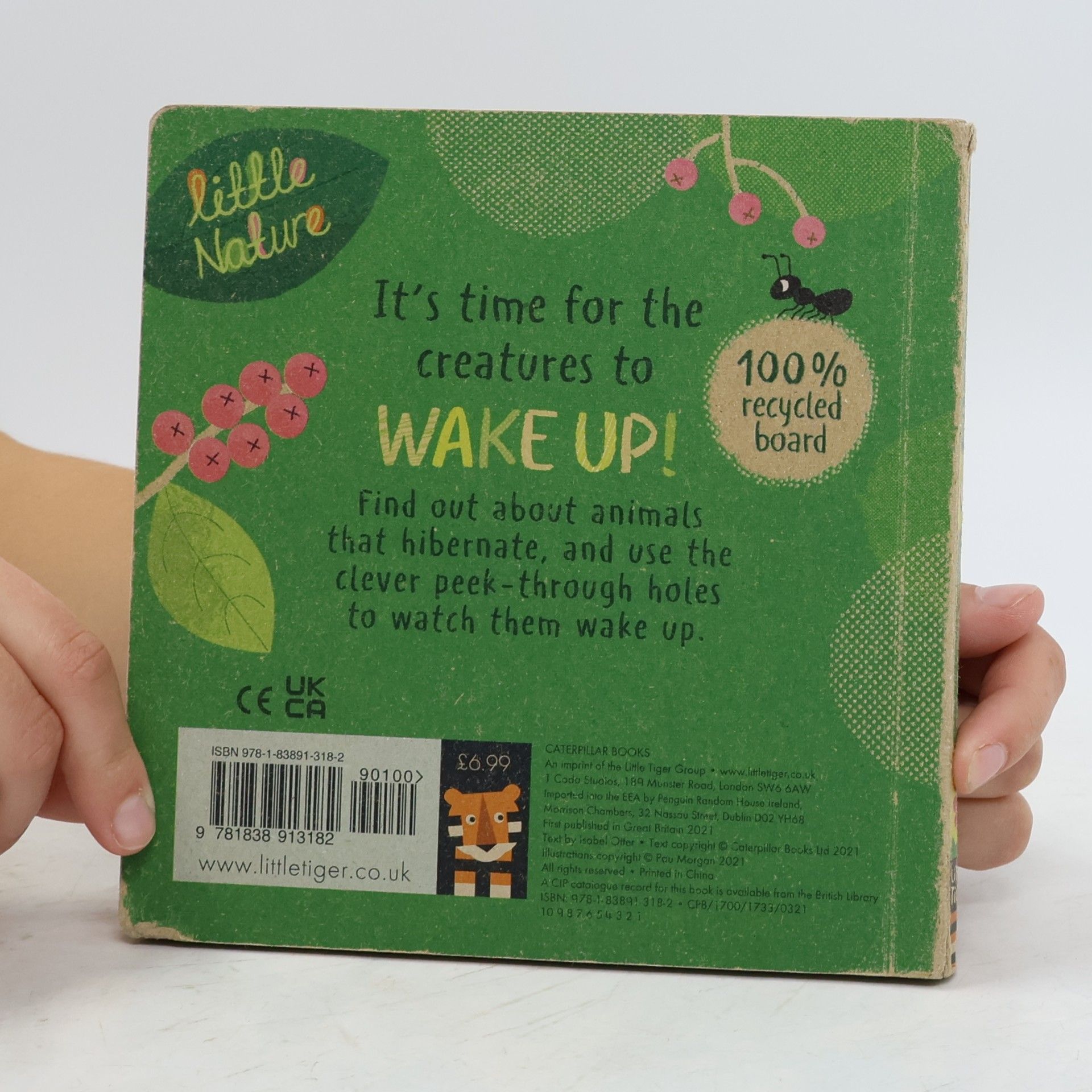 Isabel Otter Wake Up