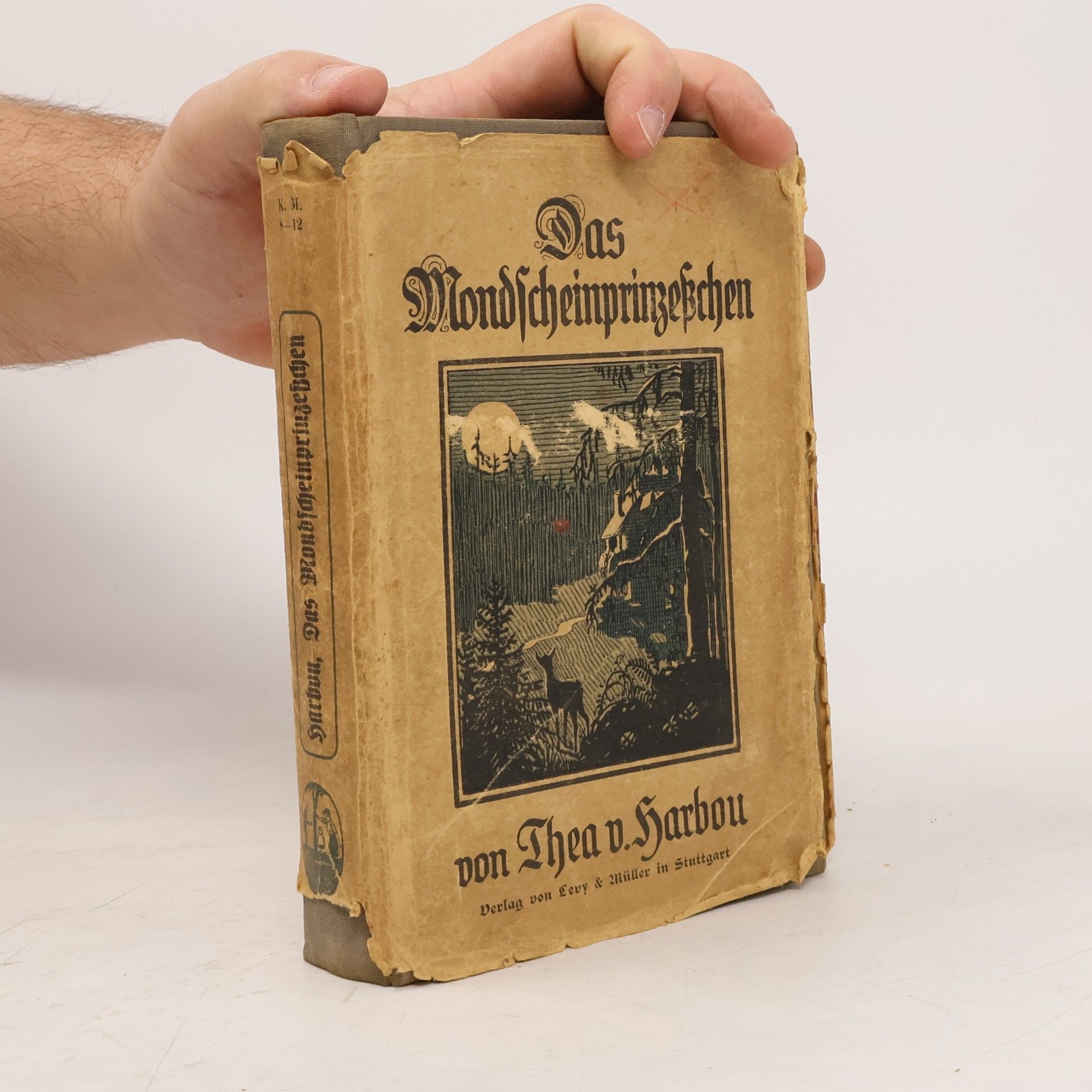 Das Mondscheinprinzeßchen