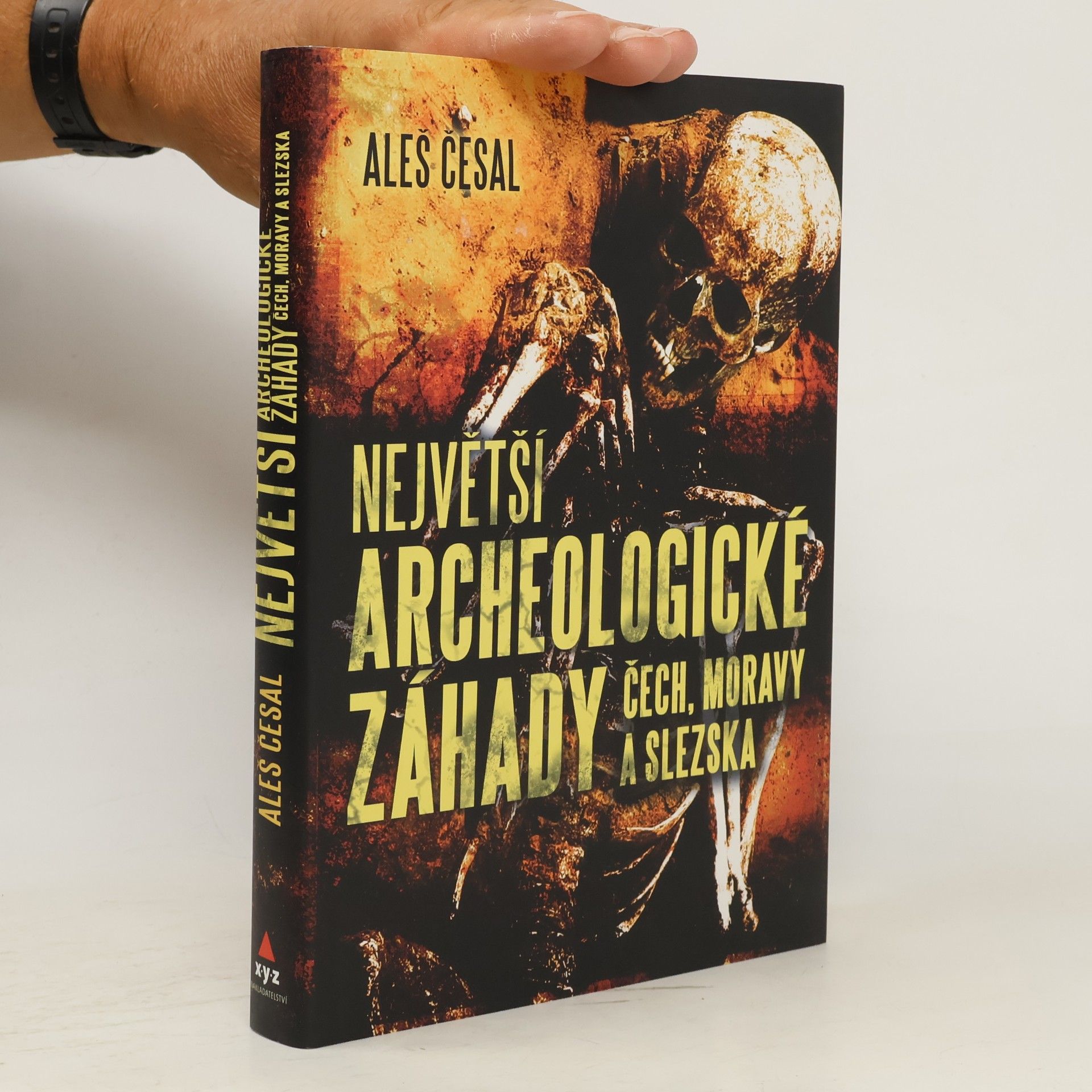 Aleš Česal Největší archeologické záhady Čech, Moravy a Slezska