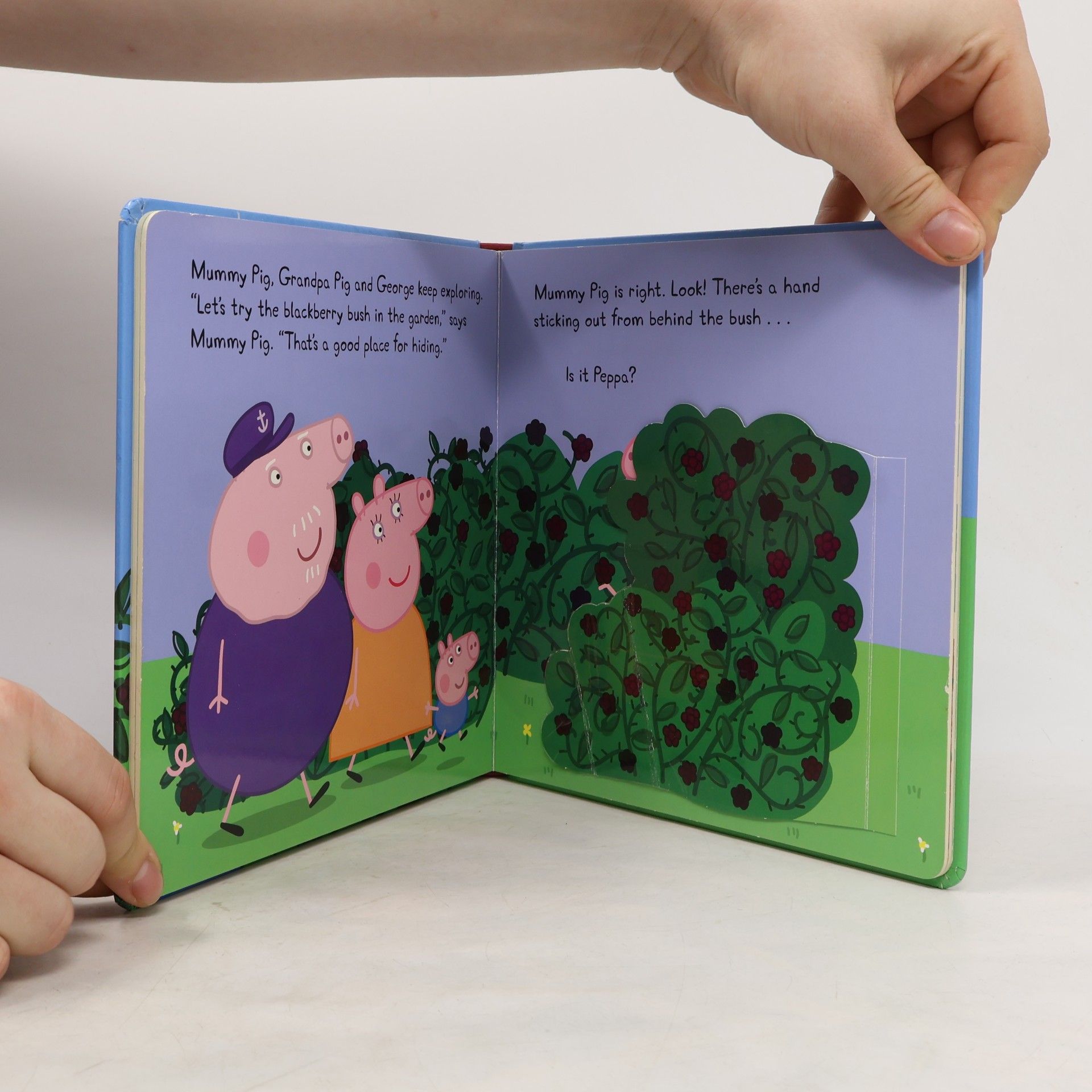 kolektiv Peppa Pig: Where's Peppa?