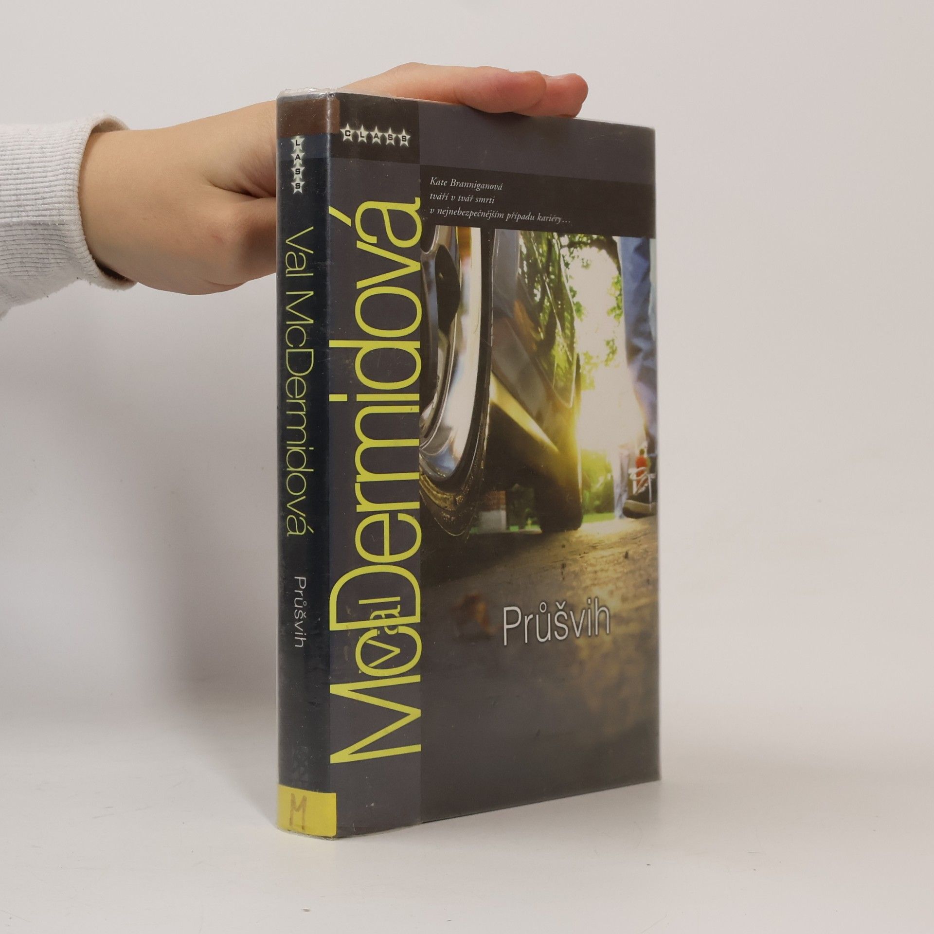 Val McDermid Průšvih