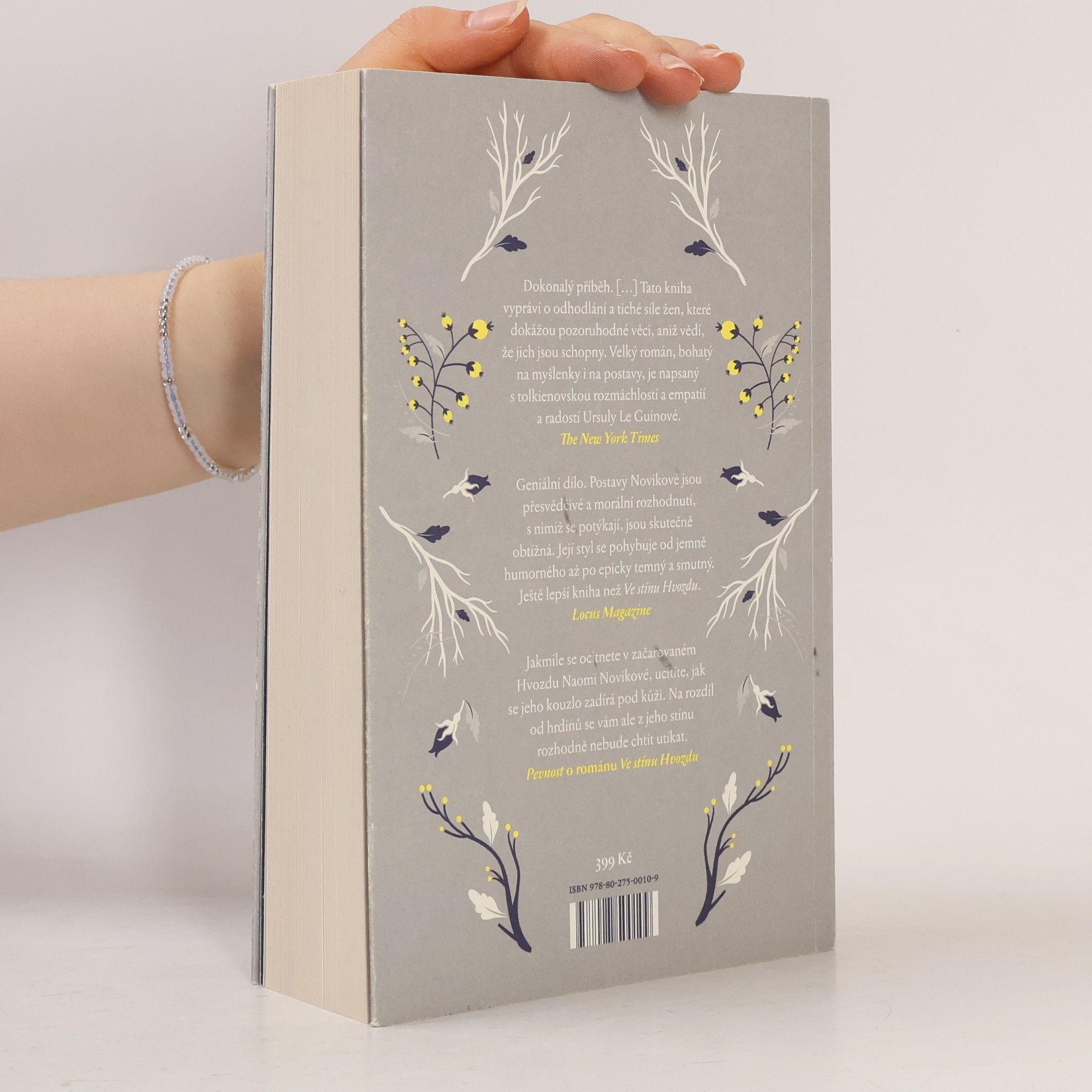Naomi Novik V zajetí zimy