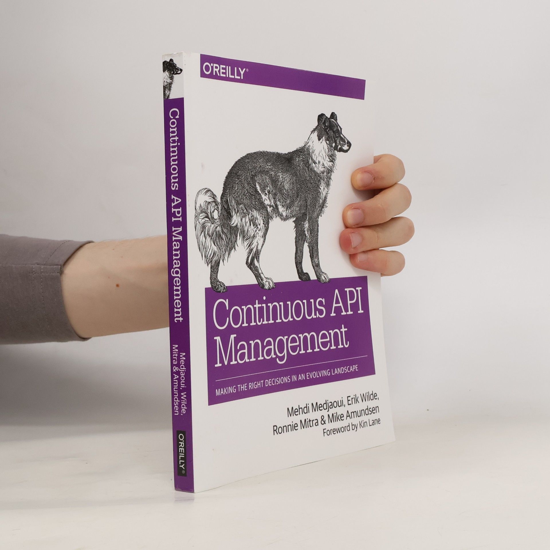 Kin Lane Continuous API Management