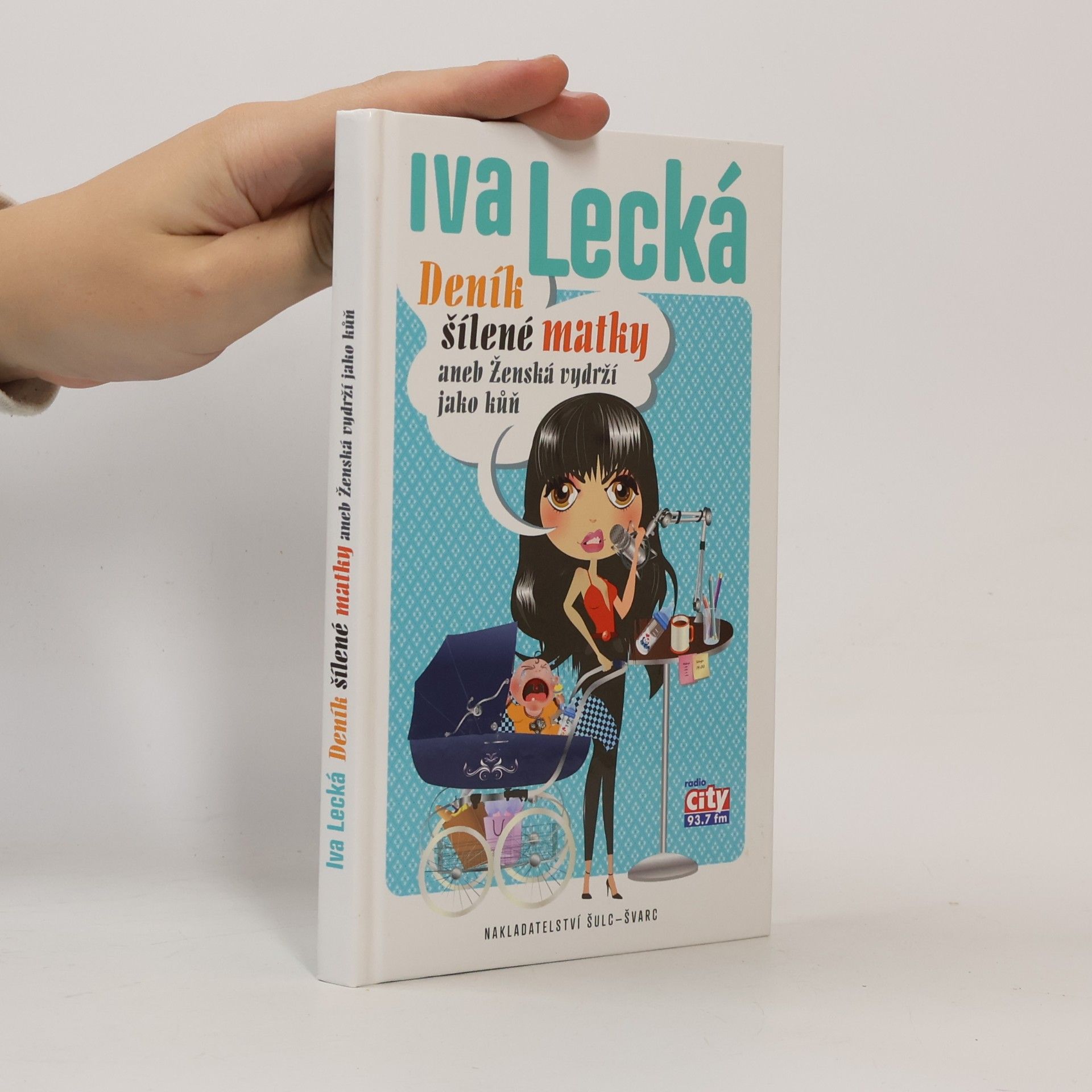 Iva Lecká Deník šílené matky