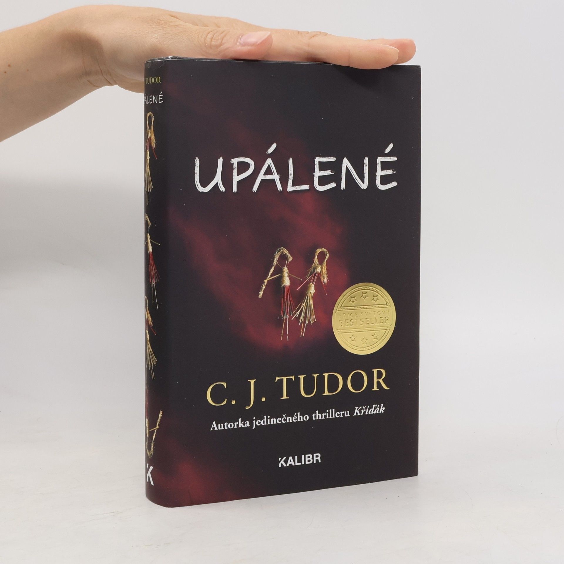 C. J. Tudor Upálené