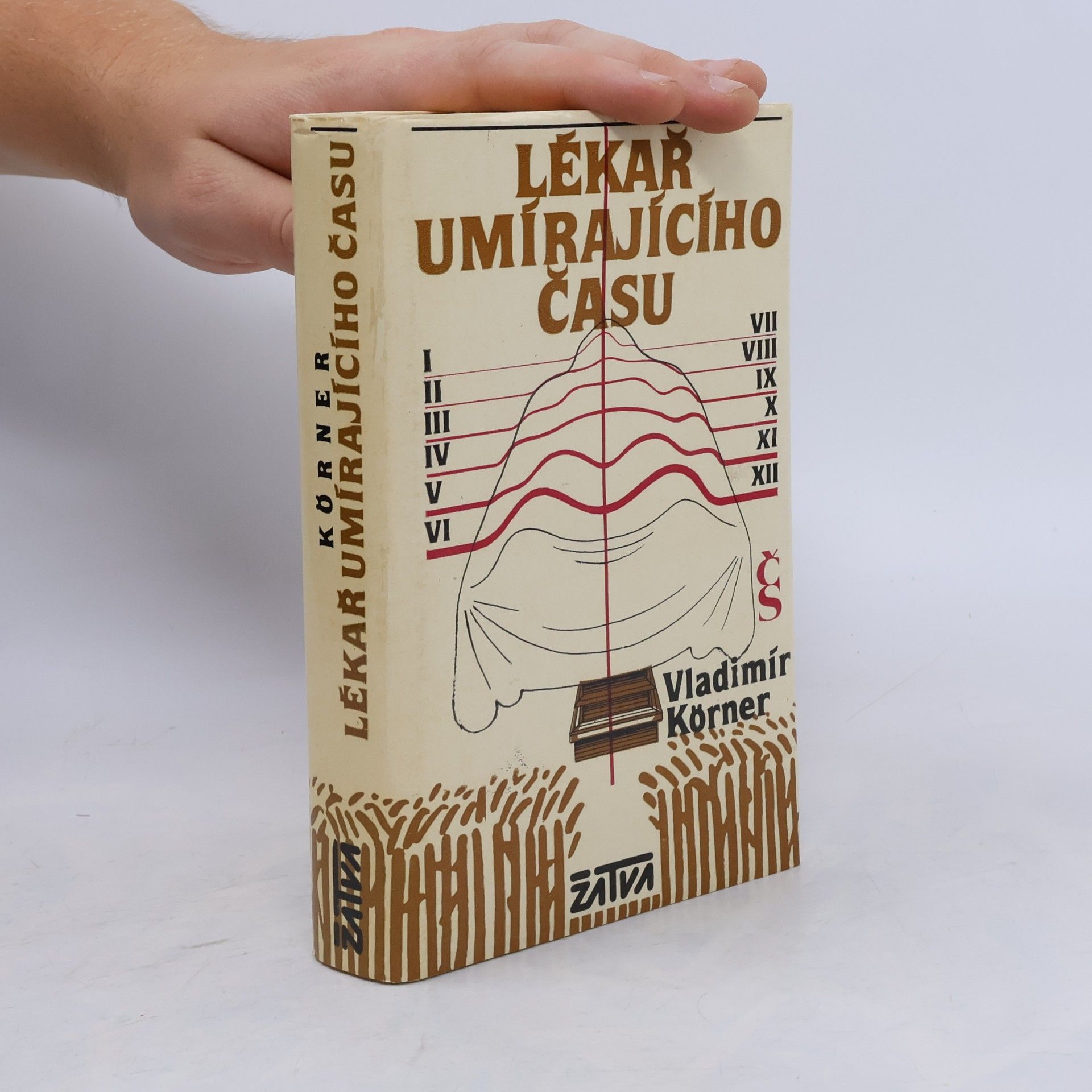 Lékař umírajícího času