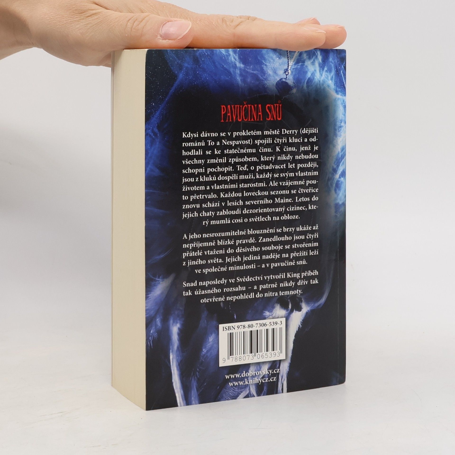 Stephen King Pavučina snů