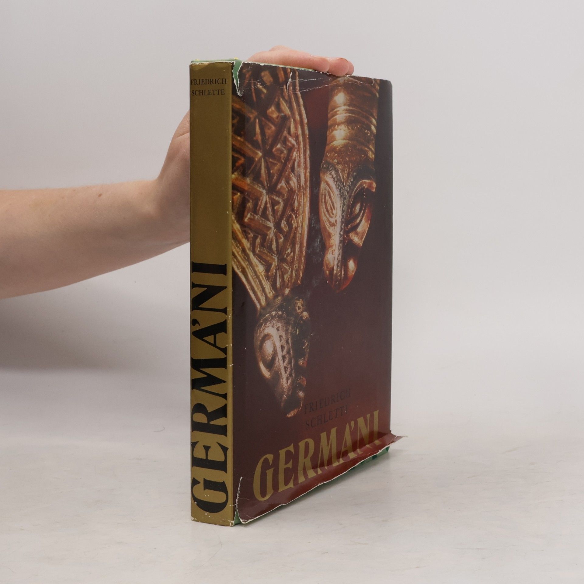 Friedrich Schlette Germáni mezi Thorsbergem a Ravennou