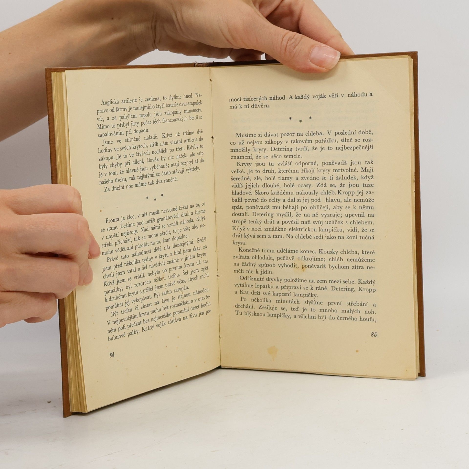 Erich Maria Remarque Za západní frontě klid