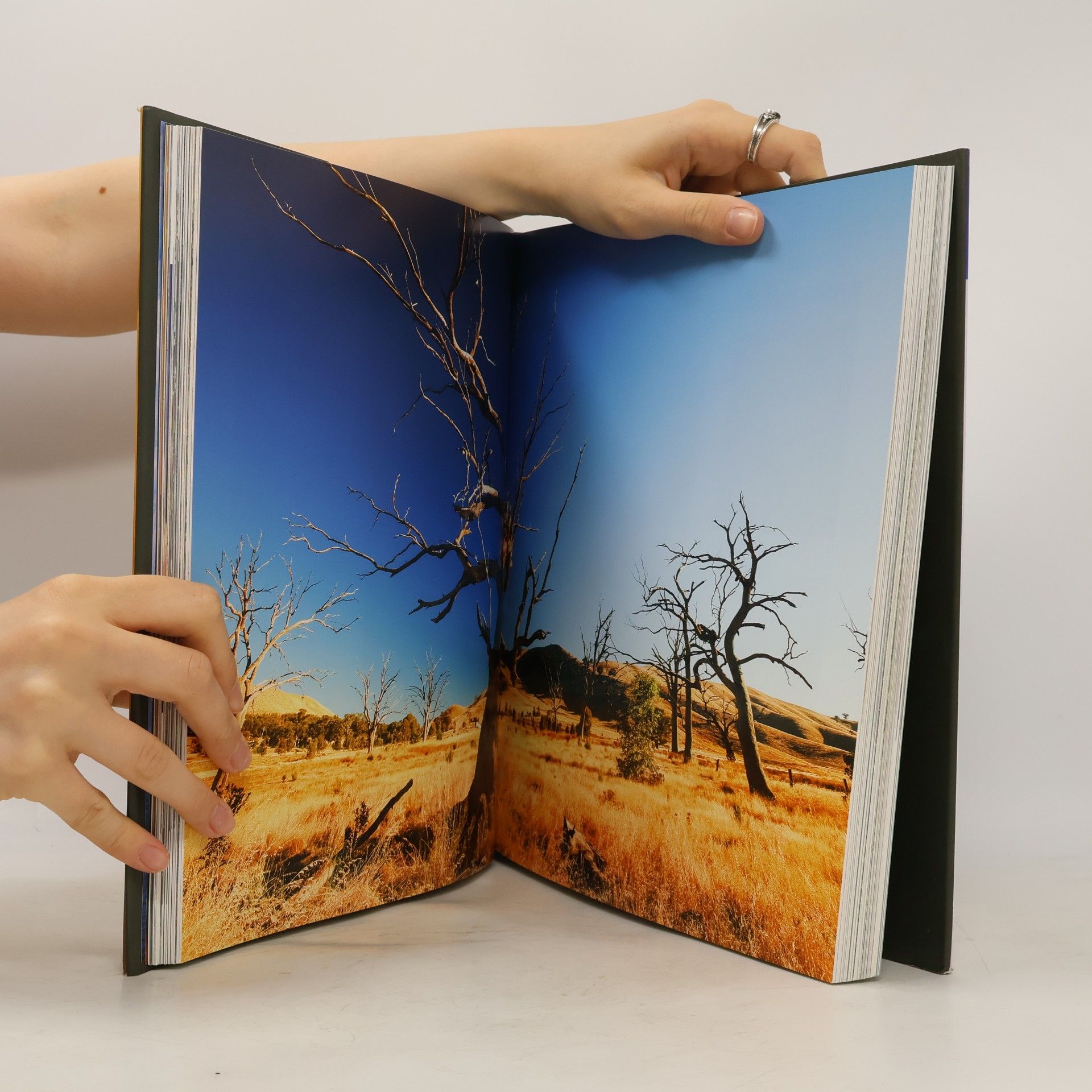 Anthony Ashley Cooper Shaftesbury Images From a Warming Planet