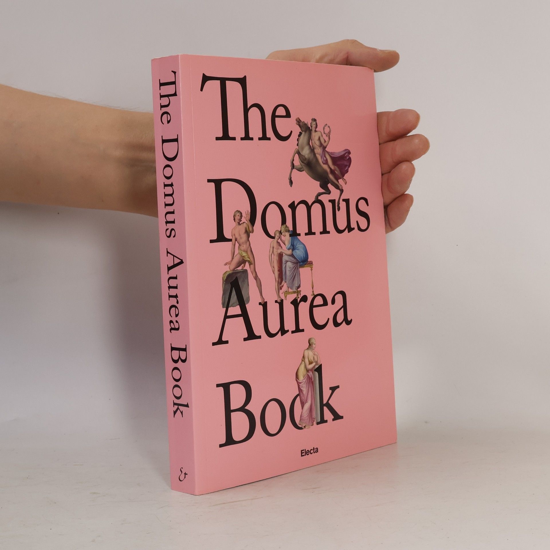 Vincenzo Farinella The Domus Aurea Book. Ediz. Inglese