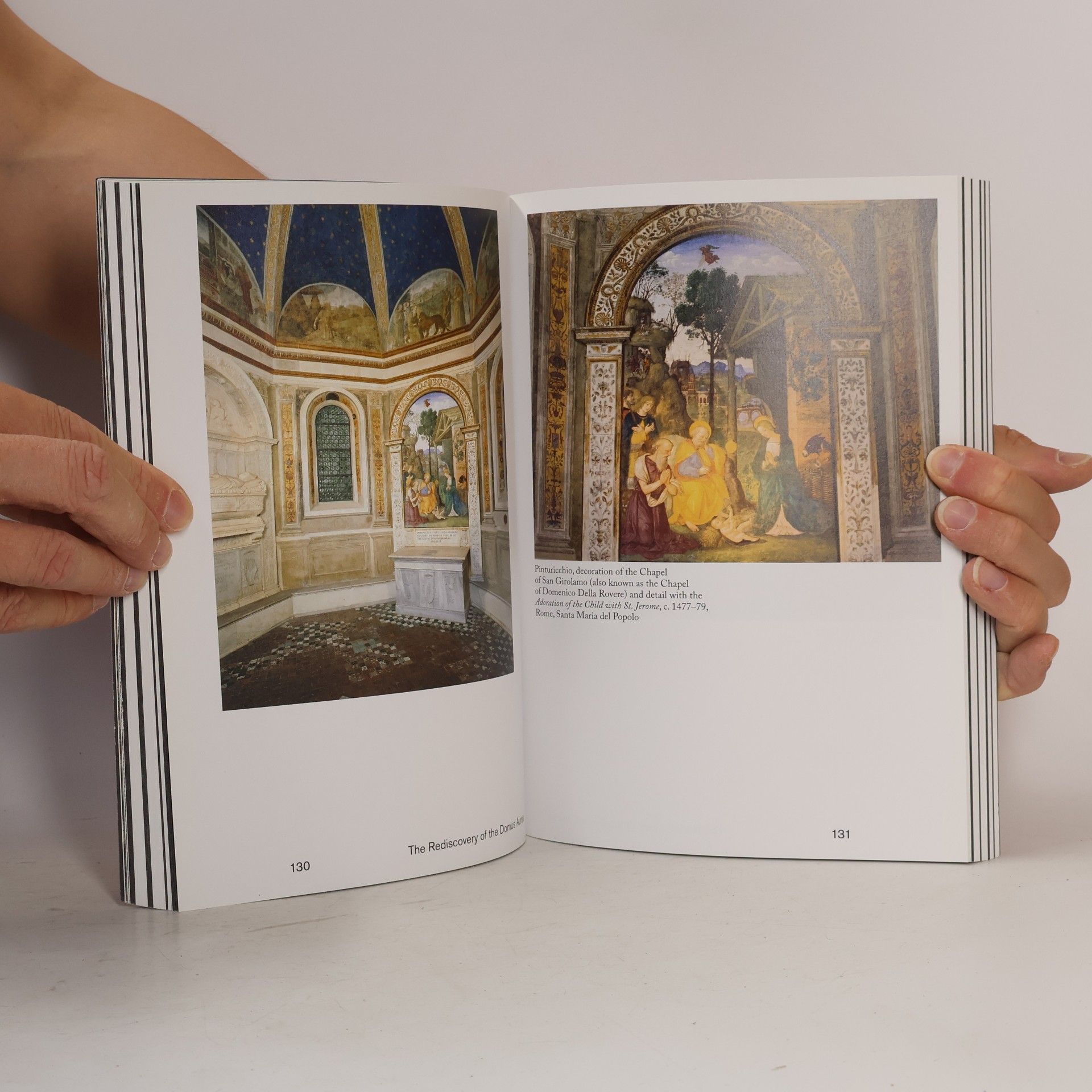 Vincenzo Farinella The Domus Aurea Book. Ediz. Inglese