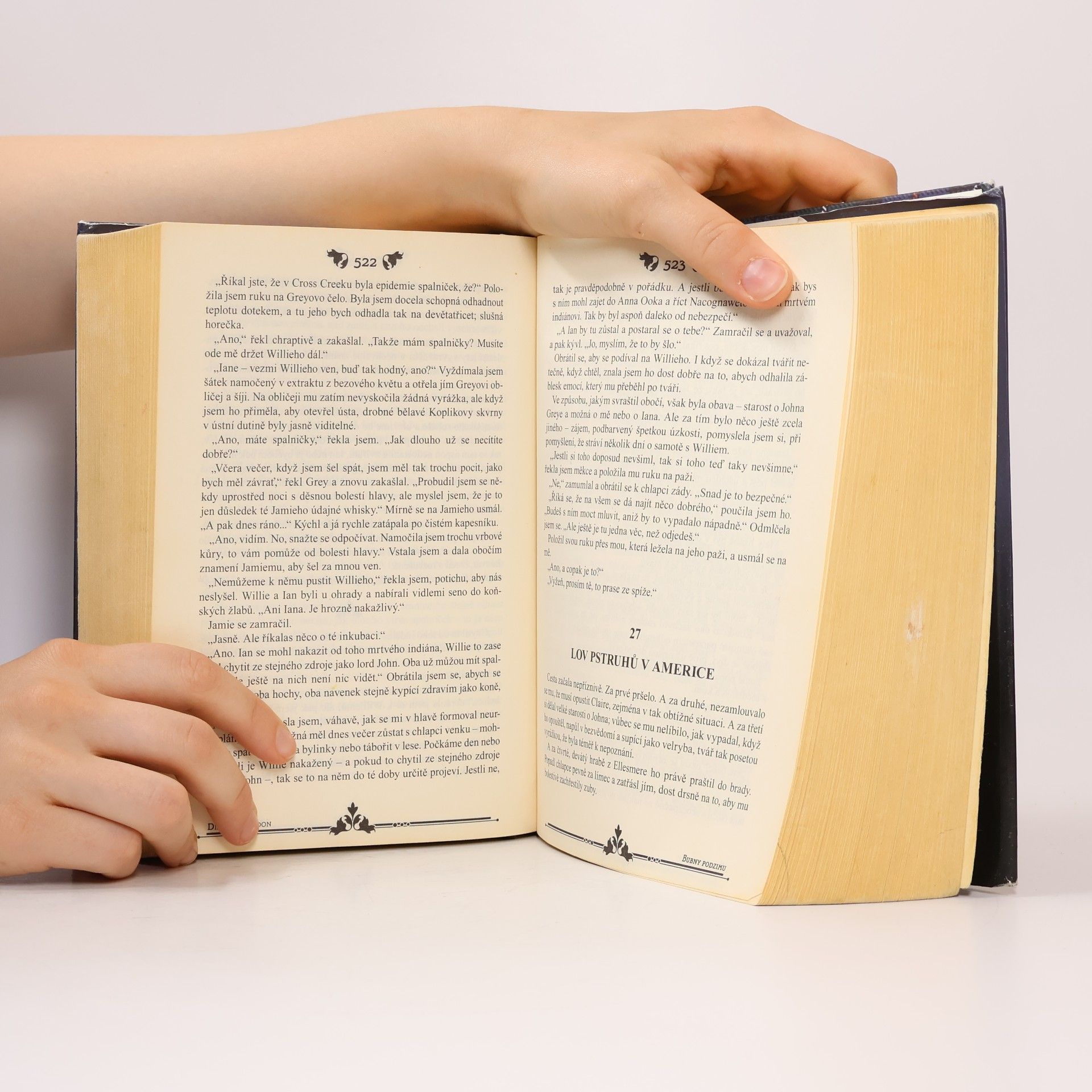 Diana Gabaldon Bubny podzimu