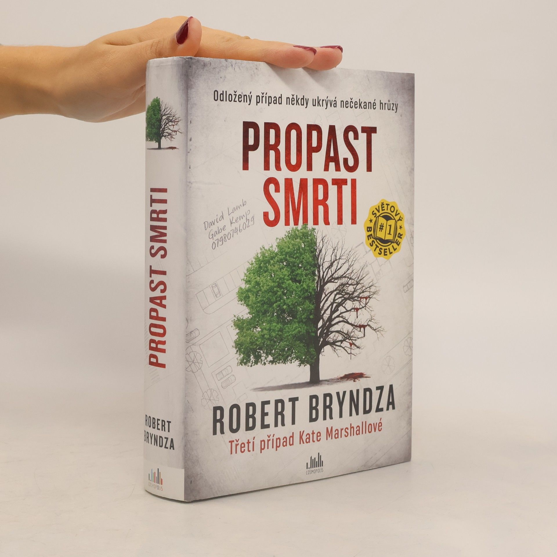 Robert Bryndza Propast smrti