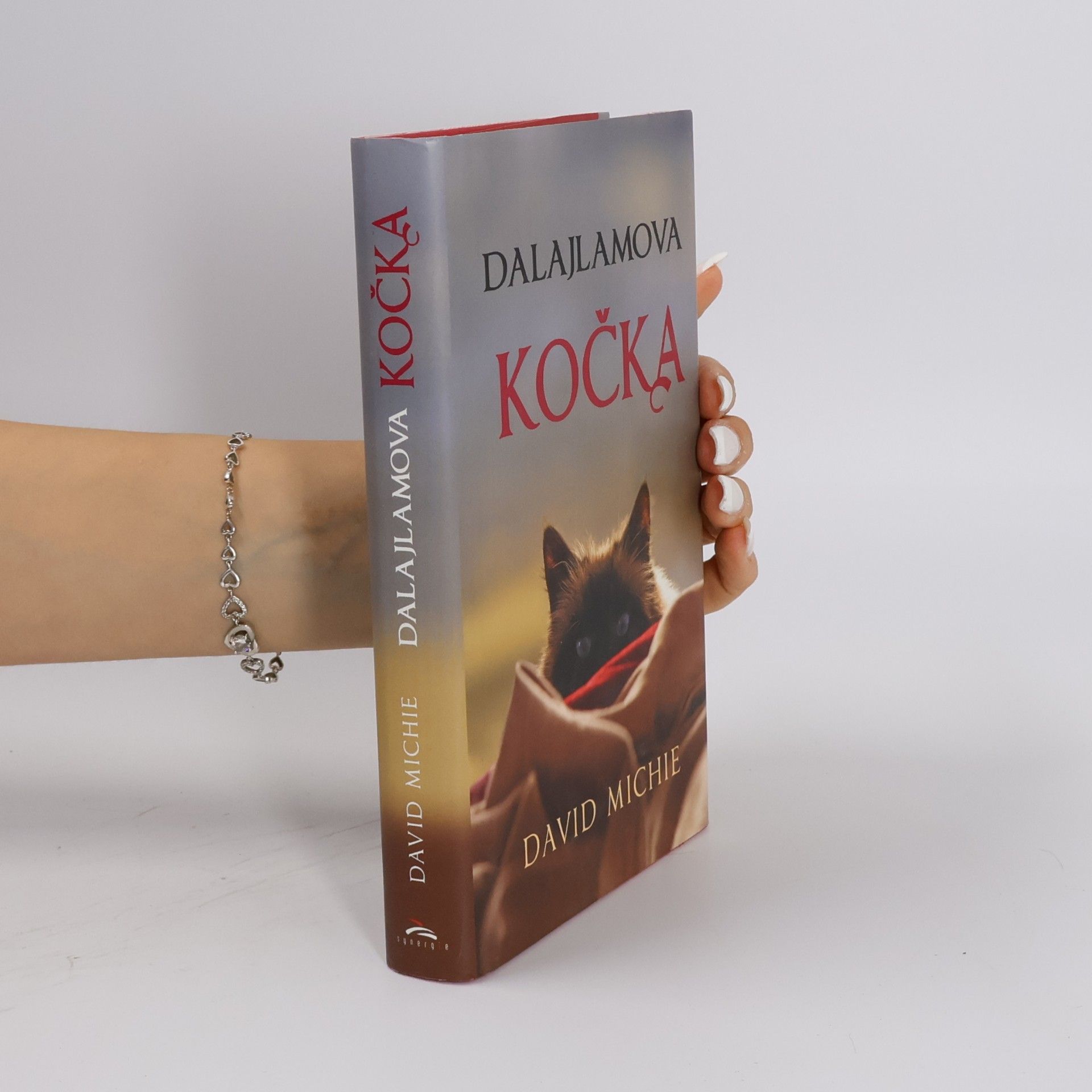 David Michie Dalajlamova kočka