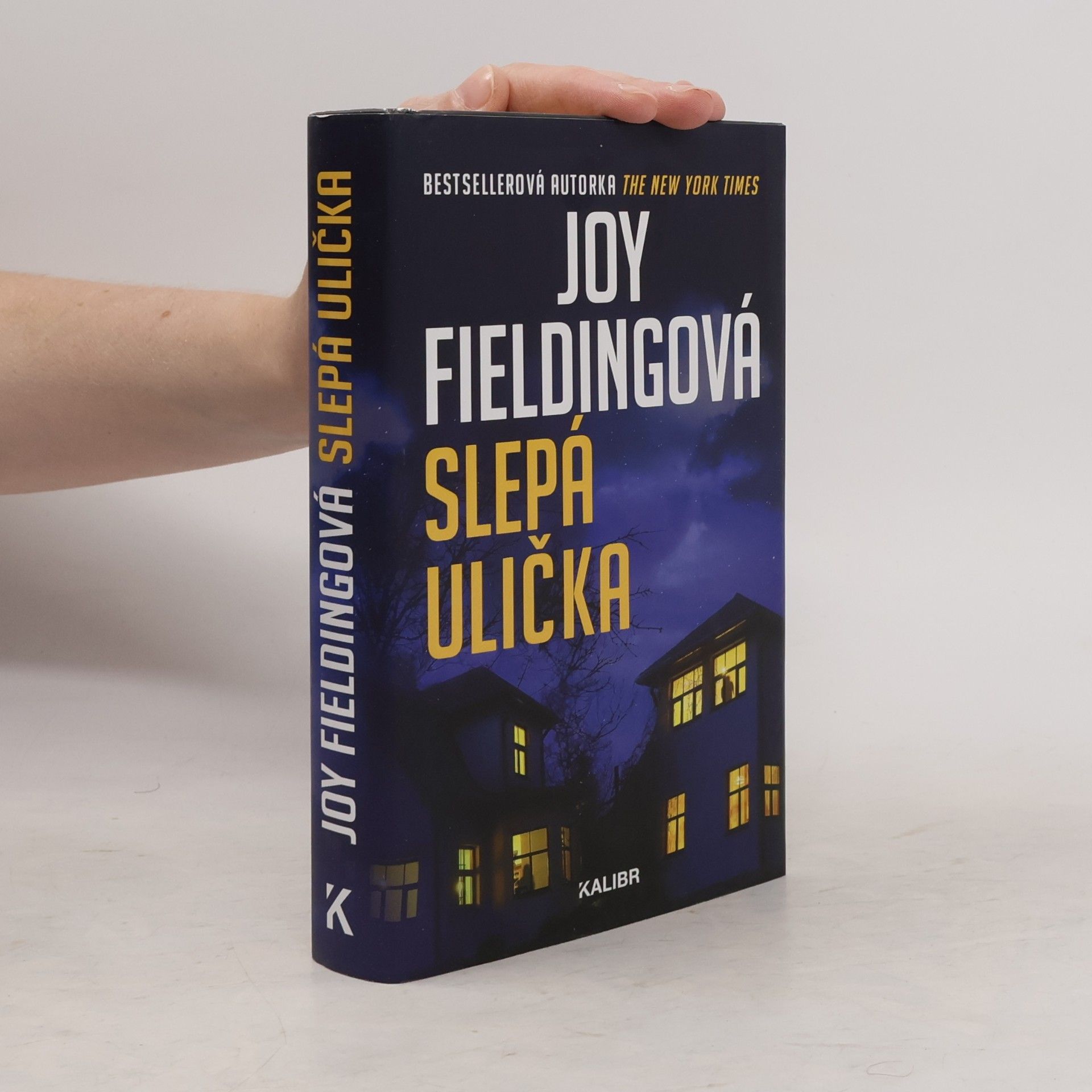 Joy Fielding Slepá ulička