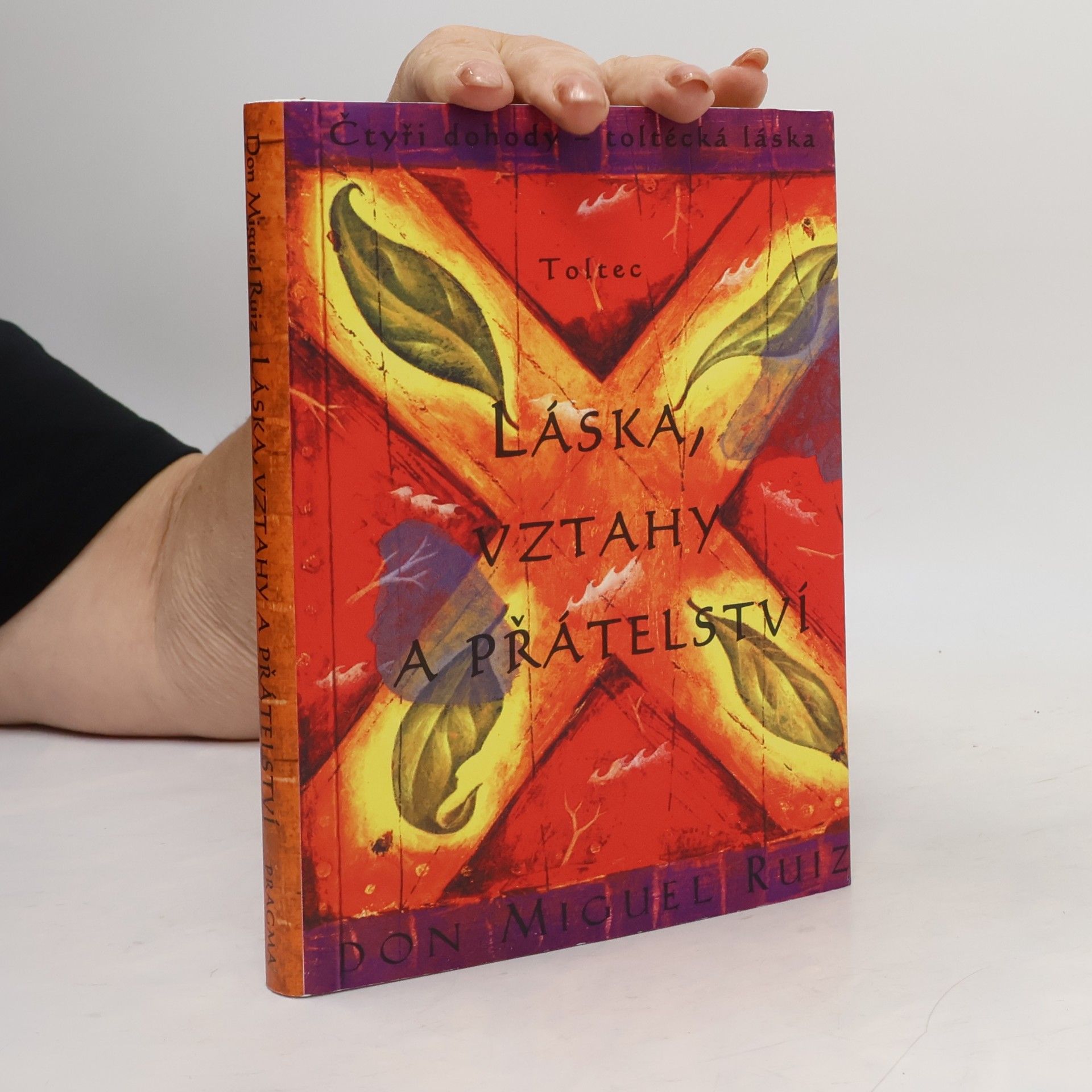 Don Miguel Ruiz Láska, vztahy a přátelství