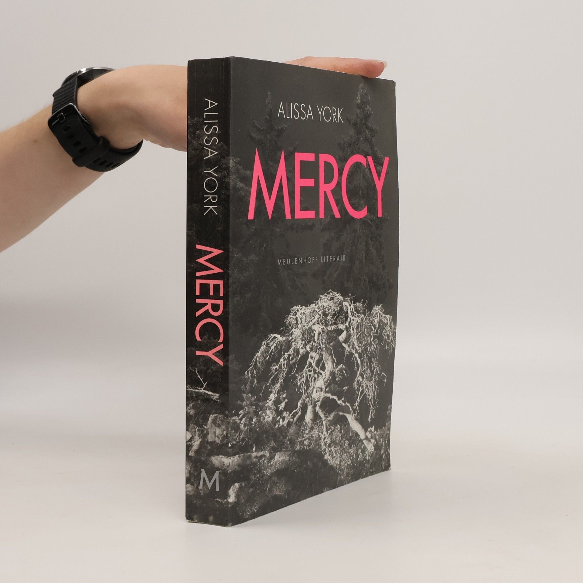 York Mercy : roman. Dutch