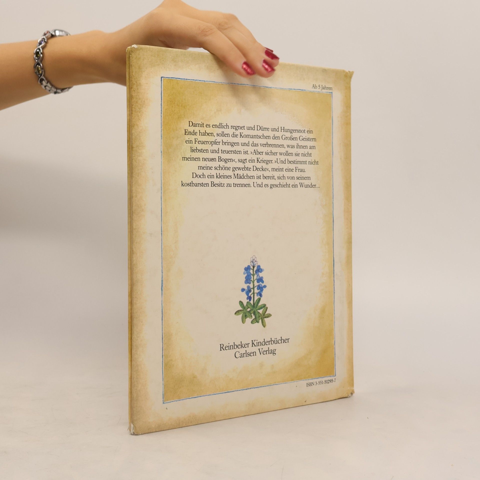 Tomie de Paola Die Regenblume