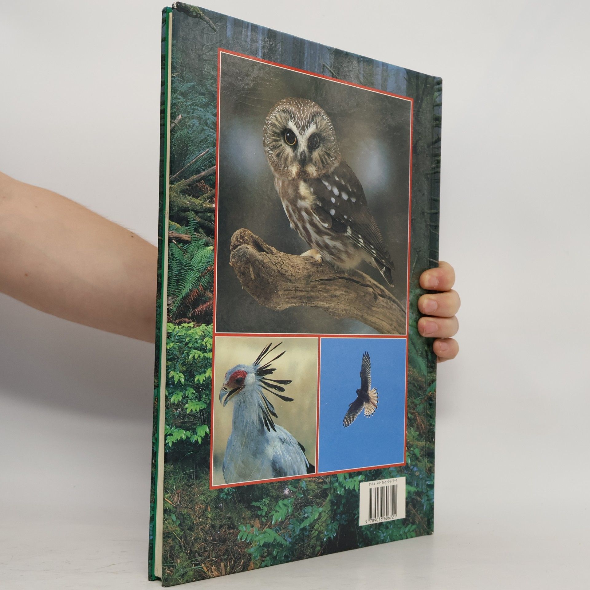 Autores varios Roofvogels