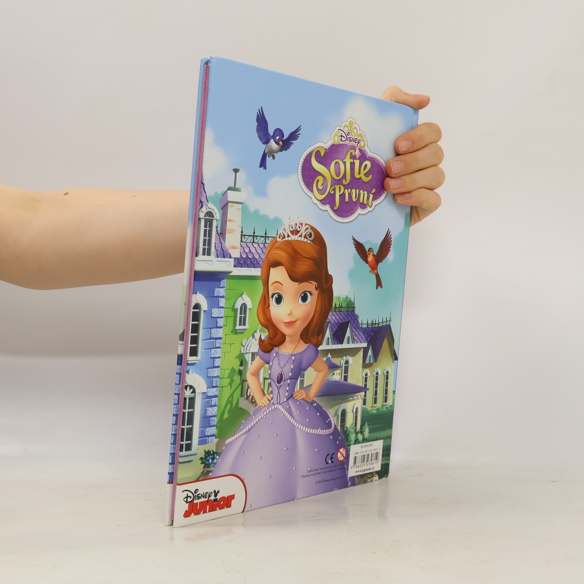 Walt Disney Sofie První - Knížka na celý rok