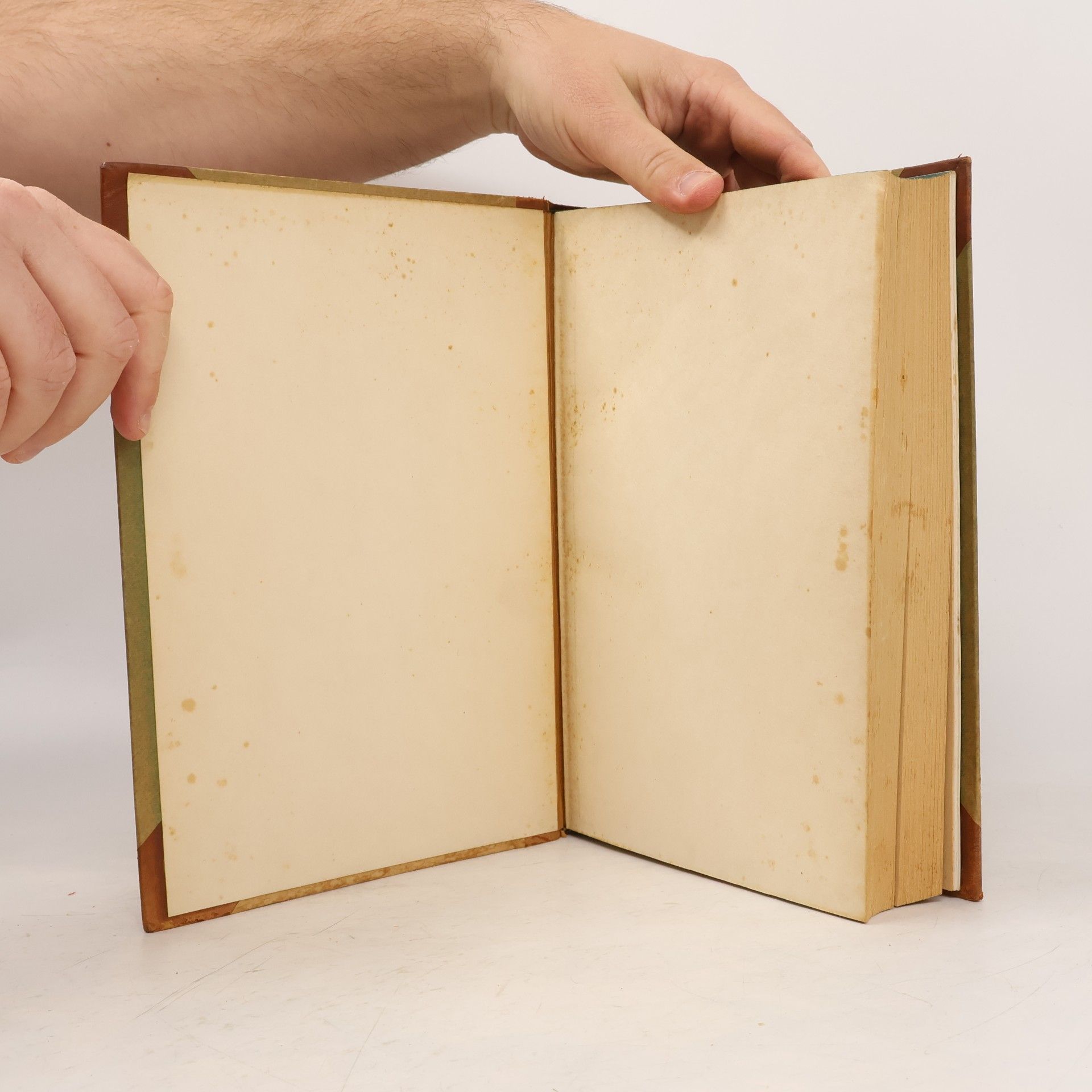 Julius Wiegand Geschichte der deutschen Dichtung in strenger Systematik, nach Gedanken, Stoffen und Formen, in fortgesetzten Längs- und Querschnitten