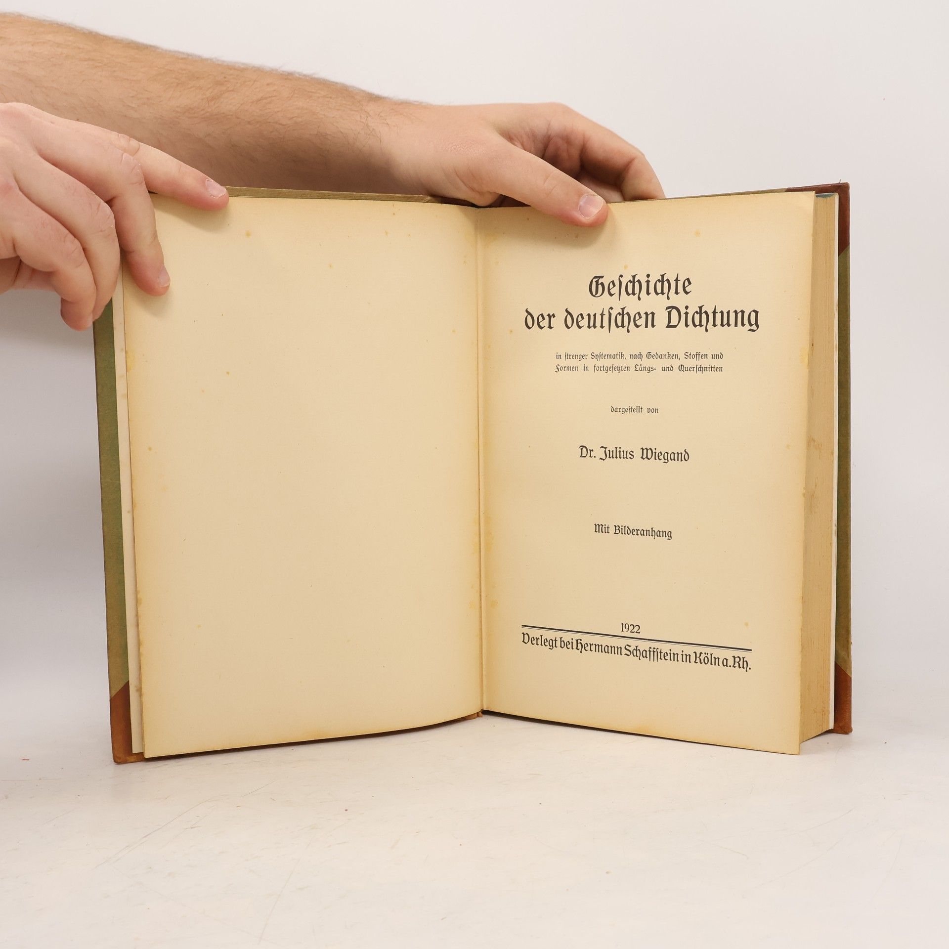Julius Wiegand Geschichte der deutschen Dichtung in strenger Systematik, nach Gedanken, Stoffen und Formen, in fortgesetzten Längs- und Querschnitten