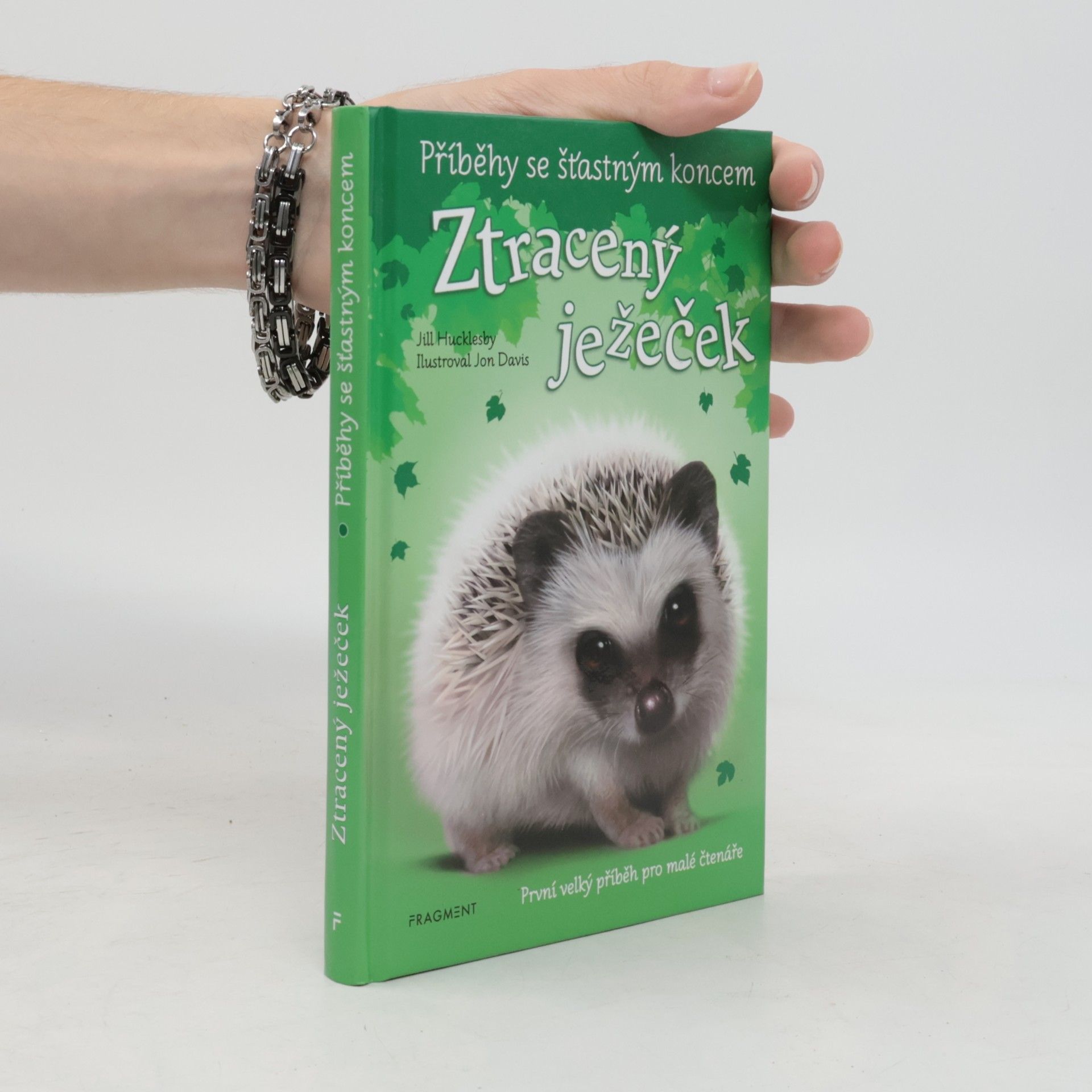 Ztracený ježeček