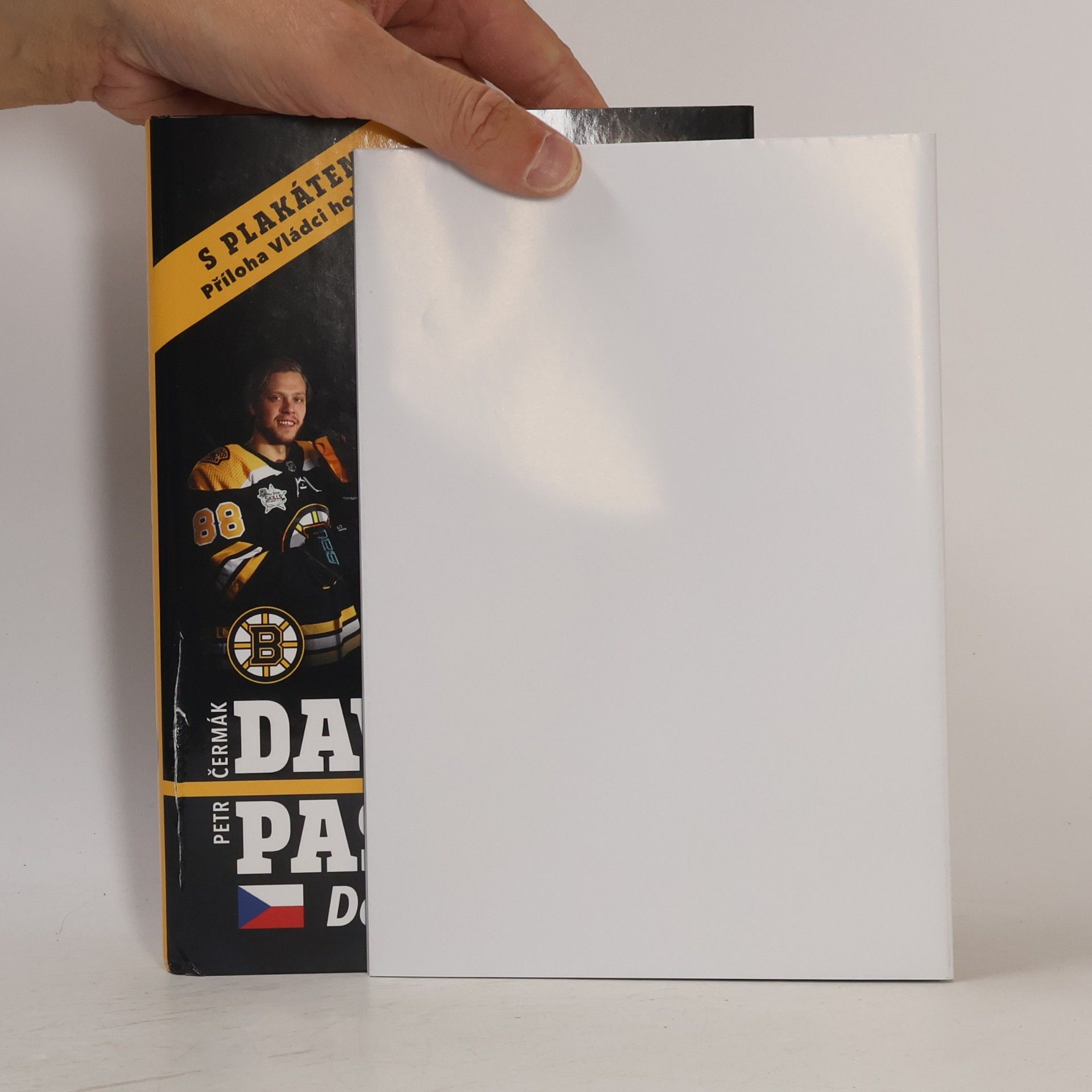 Petr Čermák David Pastrňák